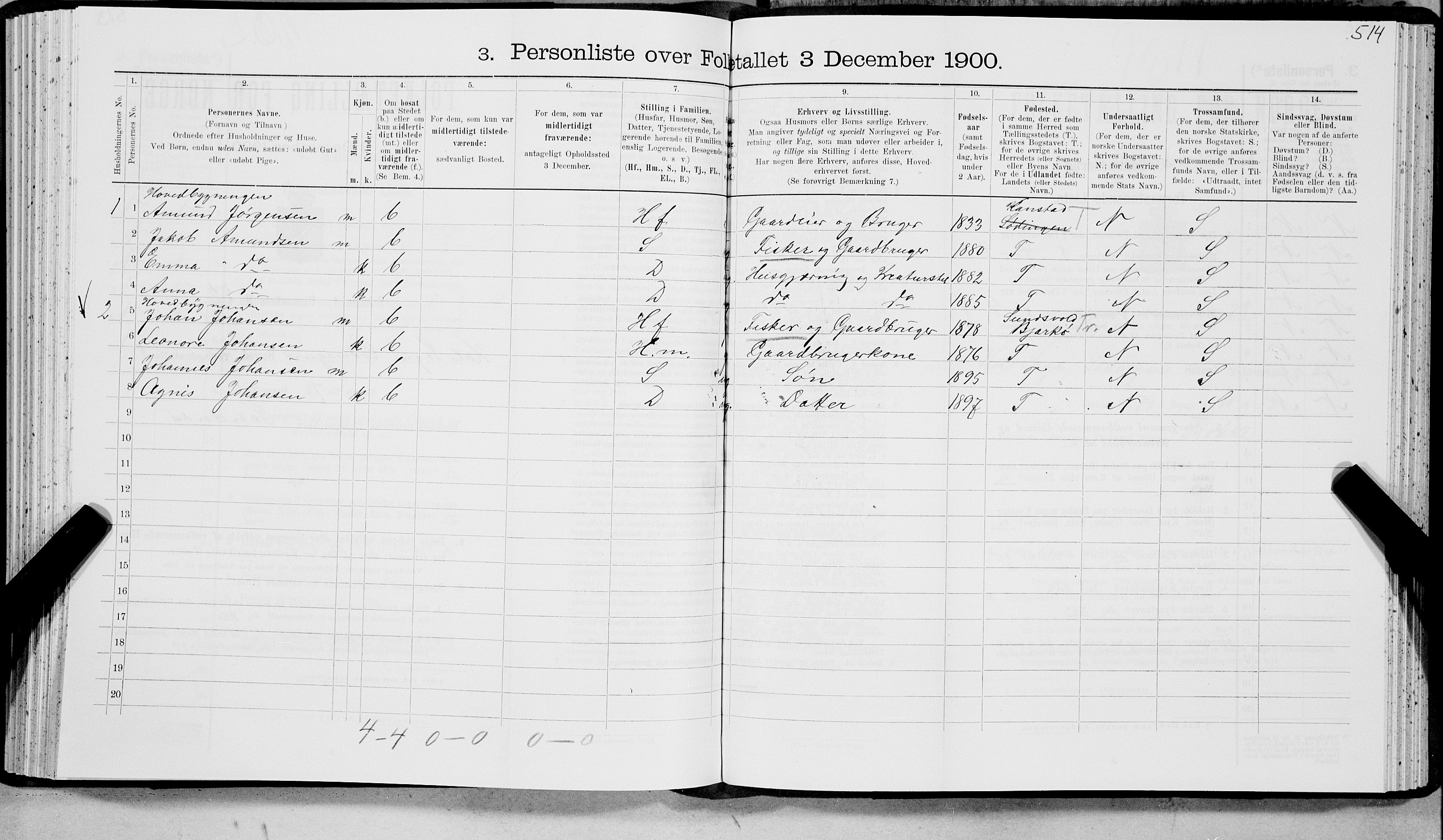 SAT, 1900 census for Lødingen, 1900, p. 995