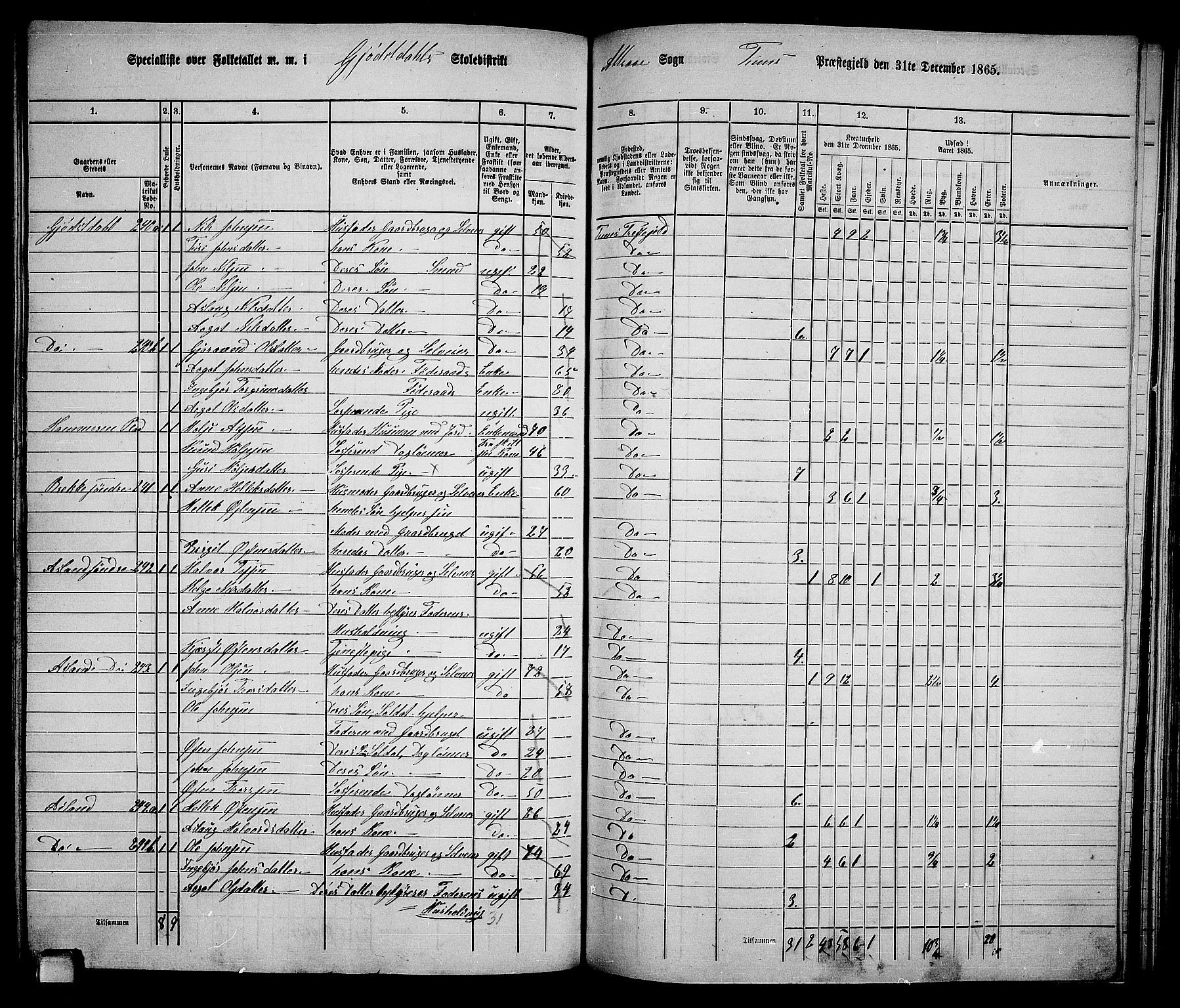 RA, 1865 census for Tinn, 1865, p. 56