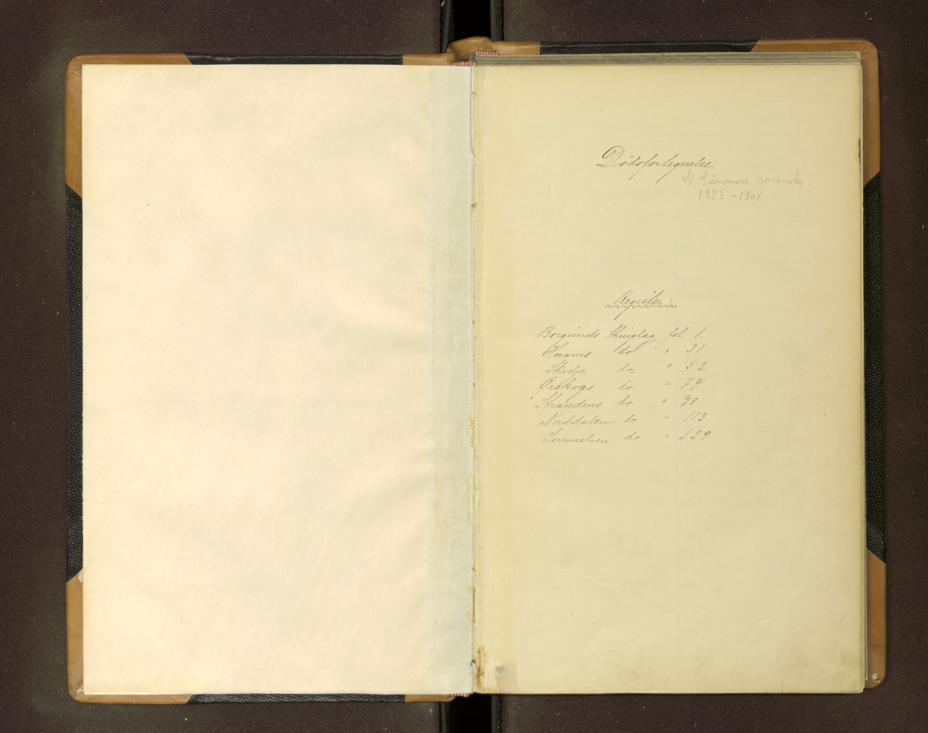 Nordre Sunnmøre sorenskriveri, AV/SAT-A-0006/1/3/3L/L0005: Dødsfallsprotokoll, 1893-1901