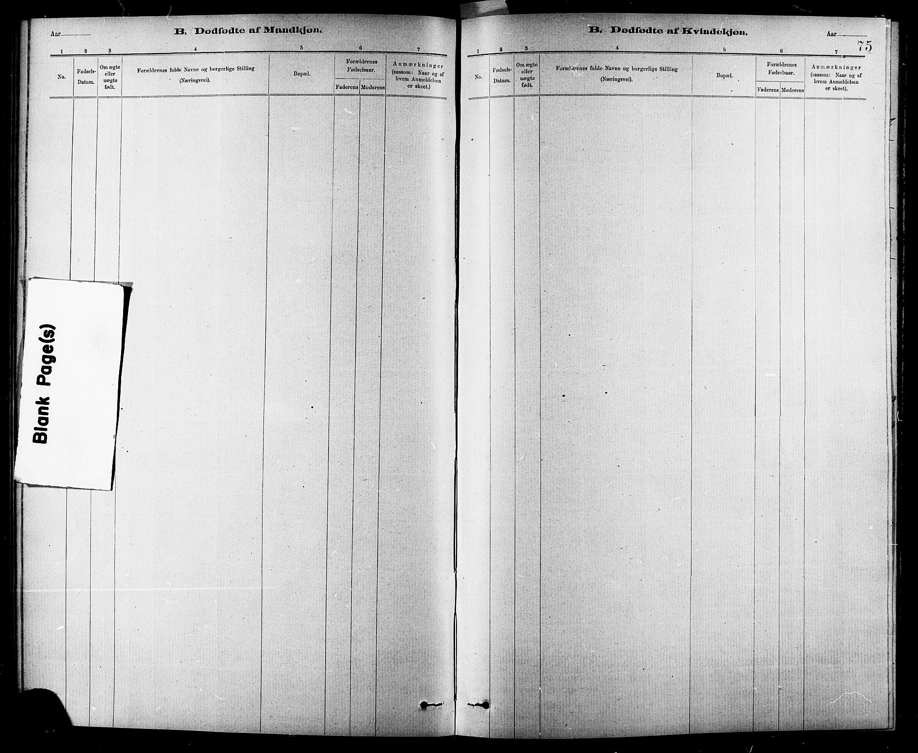 Ministerialprotokoller, klokkerbøker og fødselsregistre - Sør-Trøndelag, SAT/A-1456/618/L0452: Parish register (copy) no. 618C03, 1884-1906, p. 75