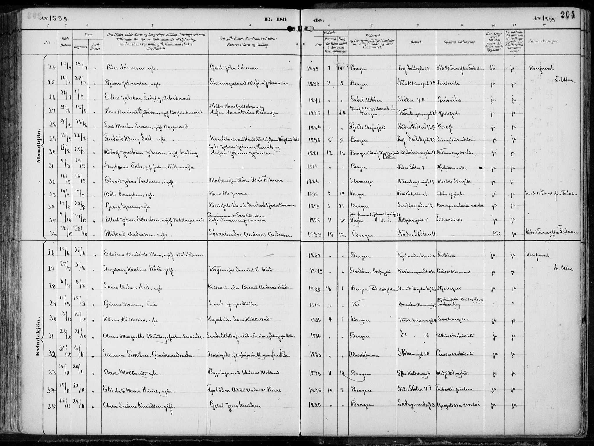 Mariakirken Sokneprestembete, AV/SAB-A-76901/H/Hab/L0005: Parish register (copy) no. A 5, 1893-1913, p. 204
