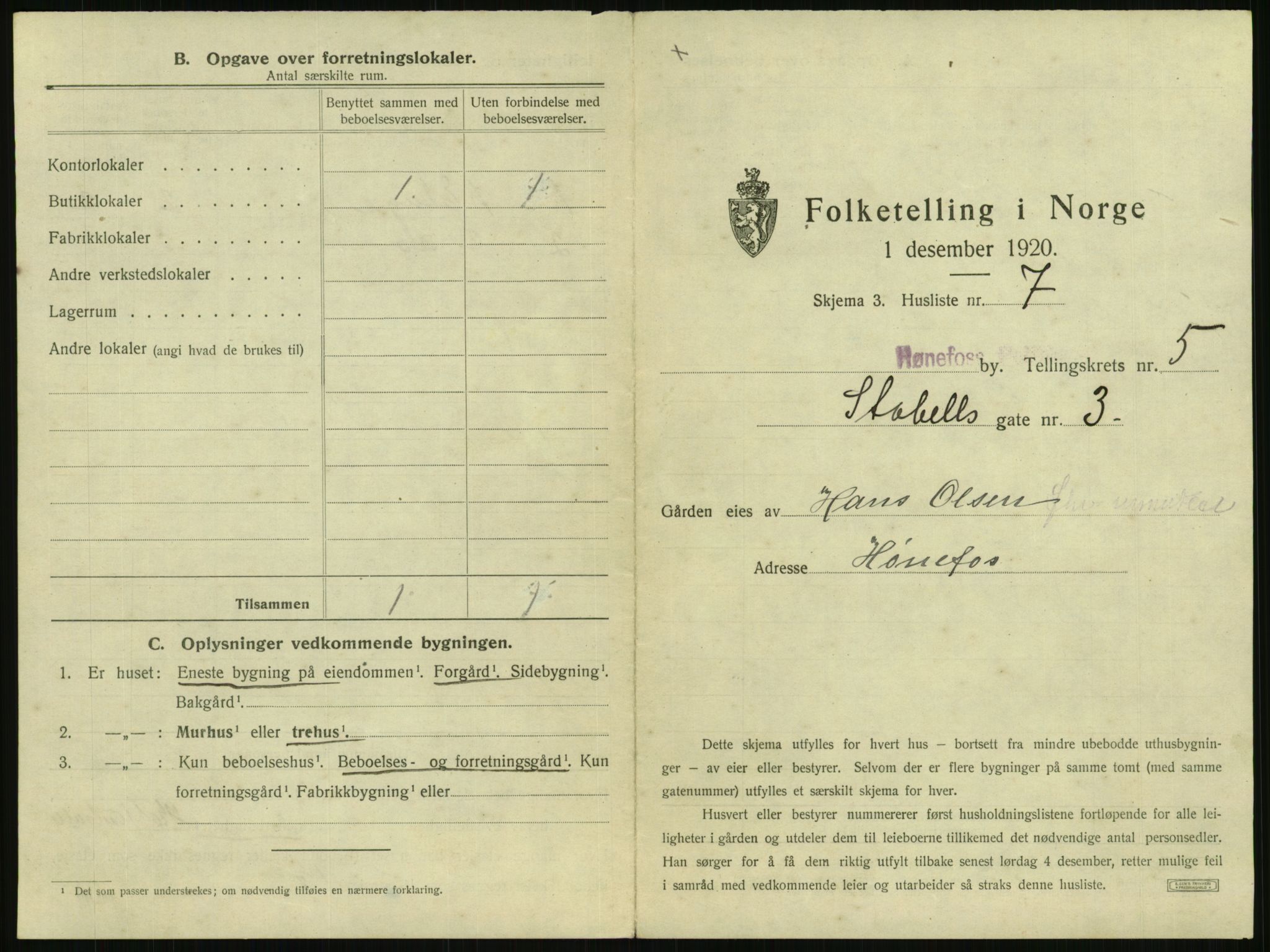 SAKO, 1920 census for Hønefoss, 1920, p. 528