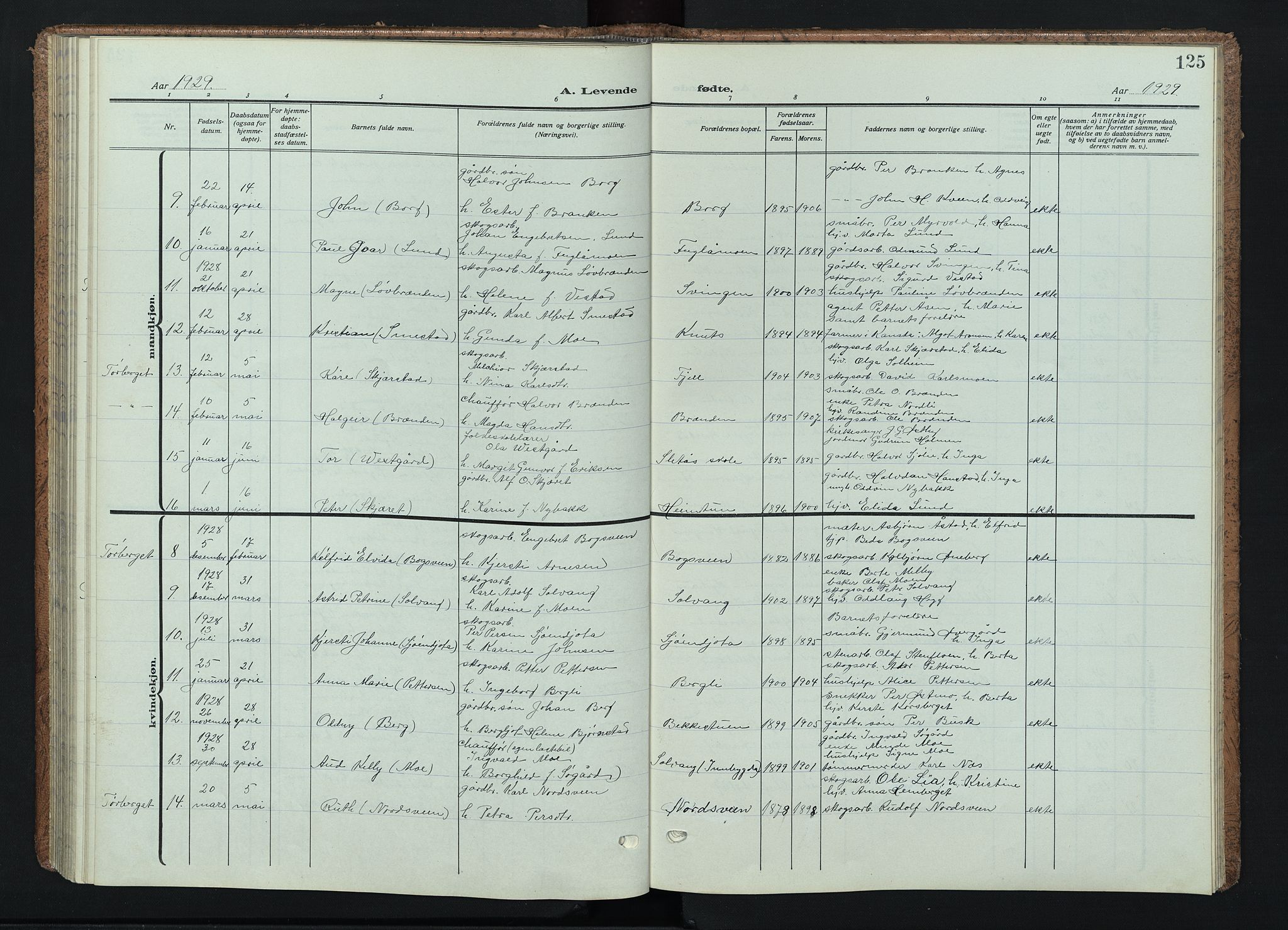 Trysil prestekontor, SAH/PREST-046/H/Ha/Haa/L0015: Parish register (official) no. 15, 1913-1934, p. 125