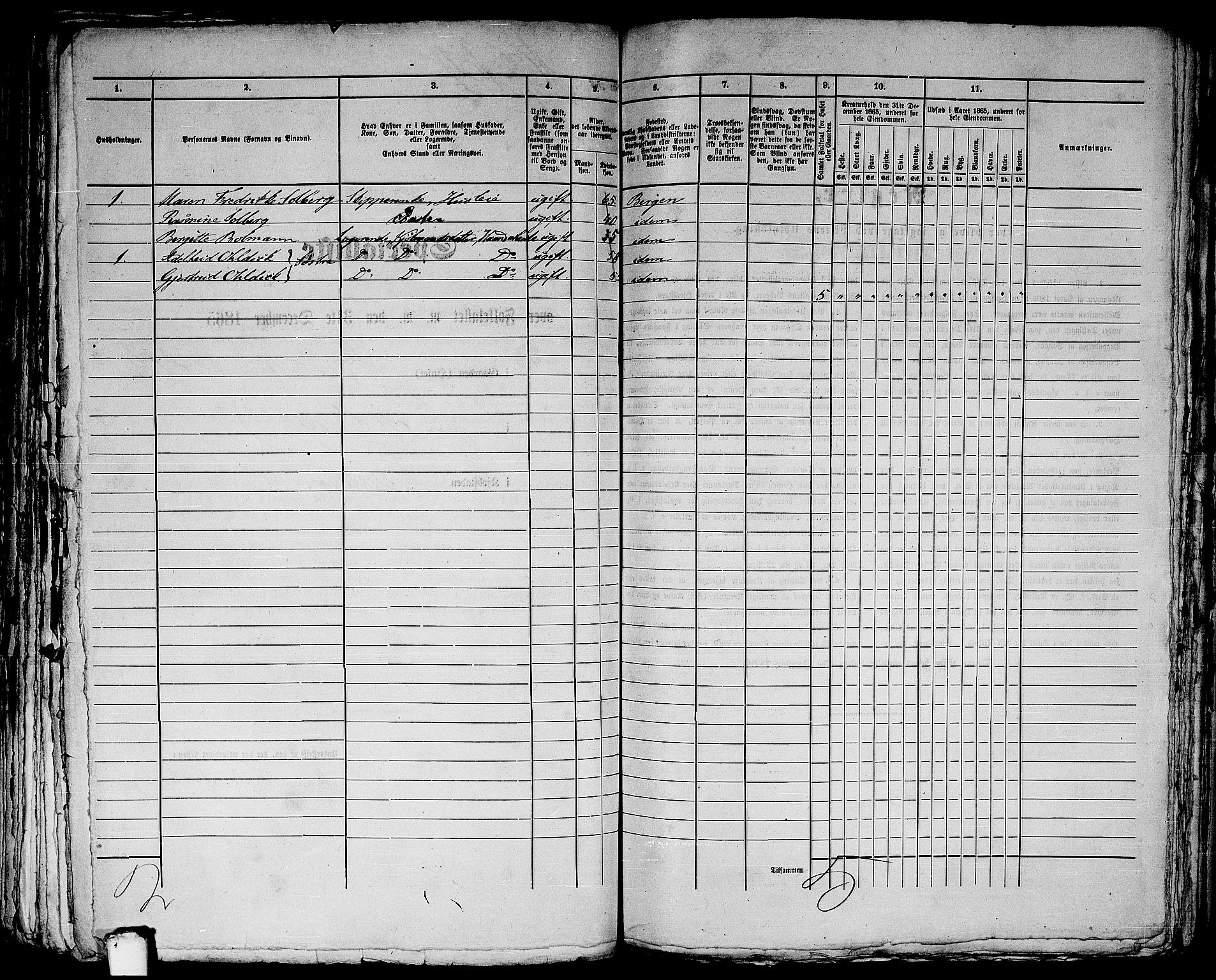 RA, 1865 census for Bergen, 1865, p. 3915