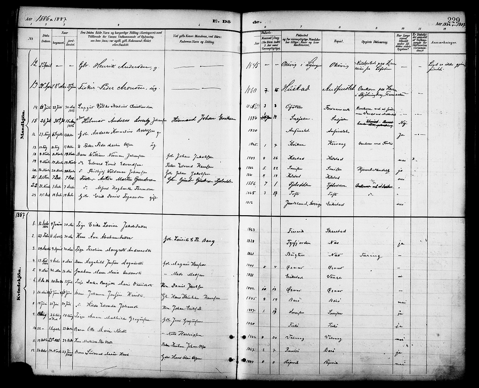 Ministerialprotokoller, klokkerbøker og fødselsregistre - Nordland, AV/SAT-A-1459/872/L1035: Parish register (official) no. 872A10, 1884-1896, p. 229