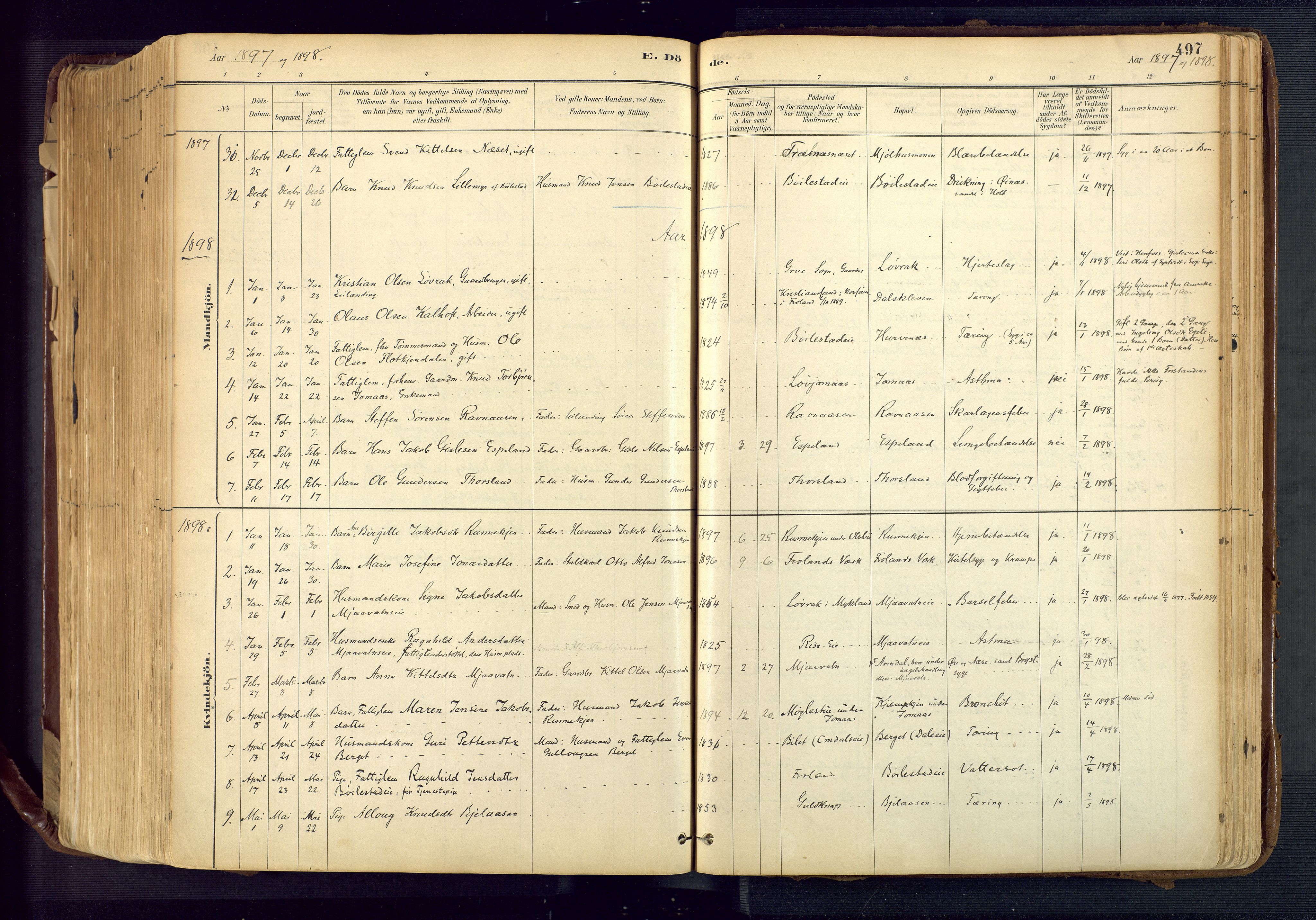 Froland sokneprestkontor, SAK/1111-0013/F/Fa/L0005: Parish register (official) no. A 5, 1882-1921, p. 497