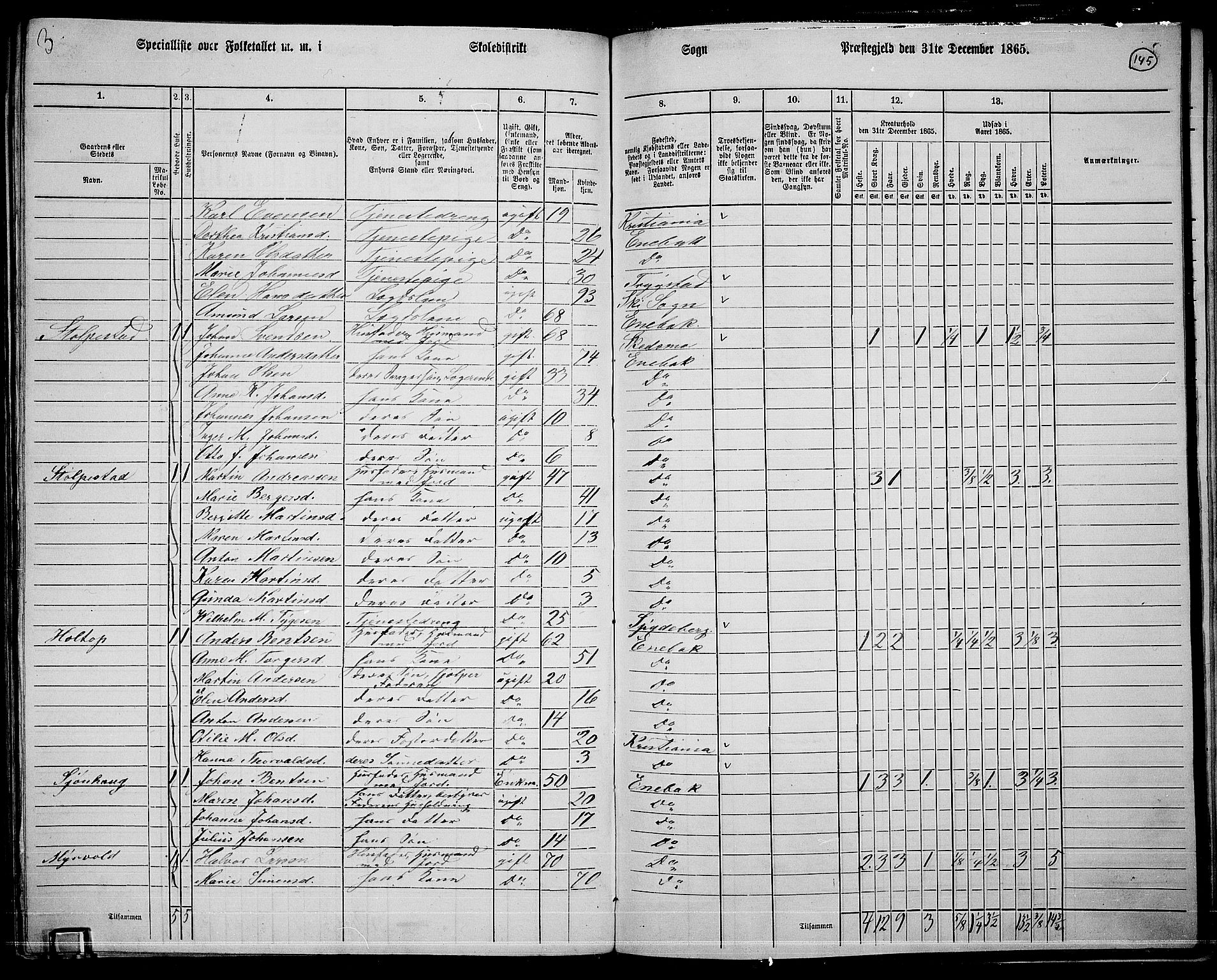 RA, 1865 census for Enebakk, 1865, p. 127