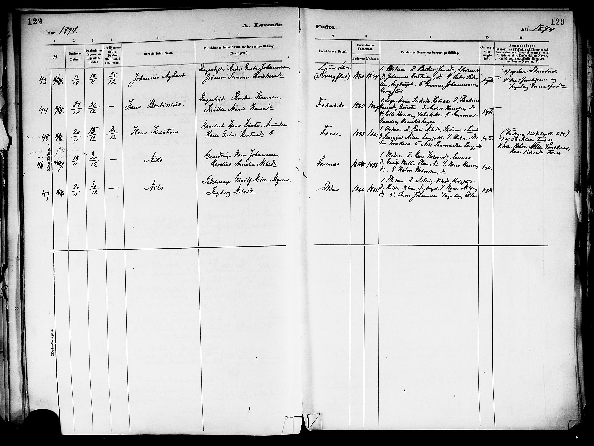 Holla kirkebøker, SAKO/A-272/F/Fa/L0008: Parish register (official) no. 8, 1882-1897, p. 129