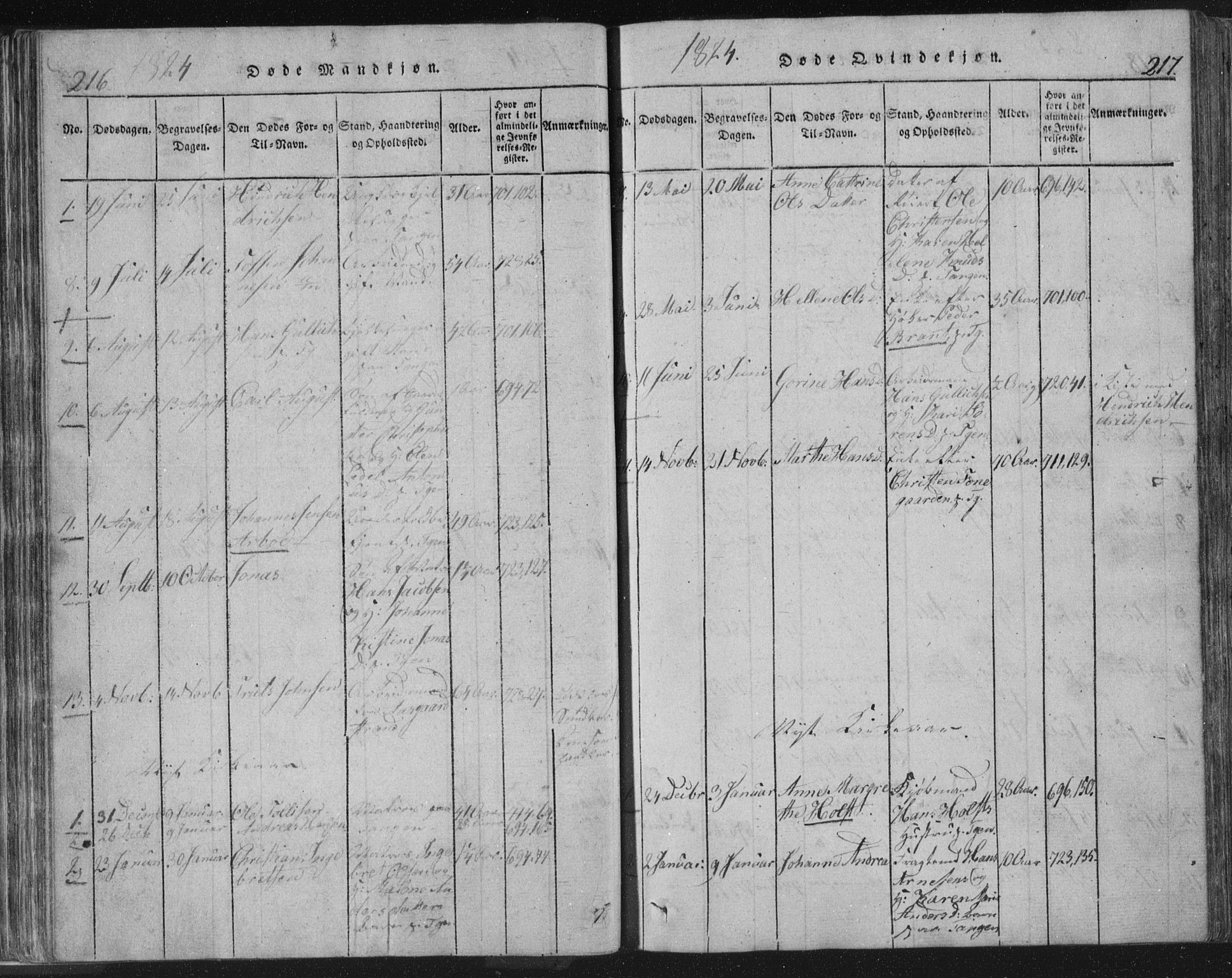 Strømsø kirkebøker, SAKO/A-246/F/Fb/L0004: Parish register (official) no. II 4, 1814-1843, p. 216-217