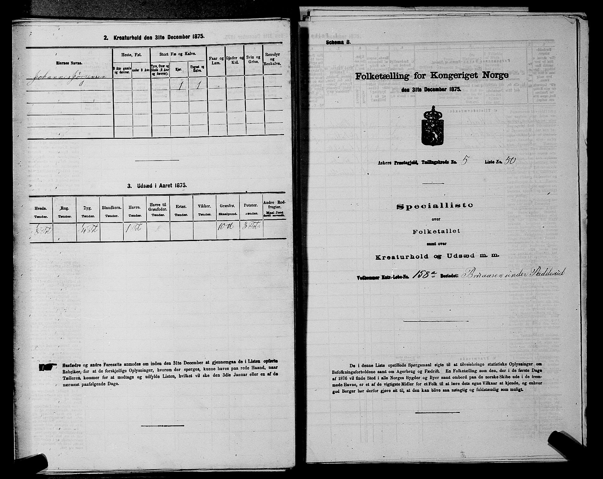 RA, 1875 census for 0220P Asker, 1875, p. 1138