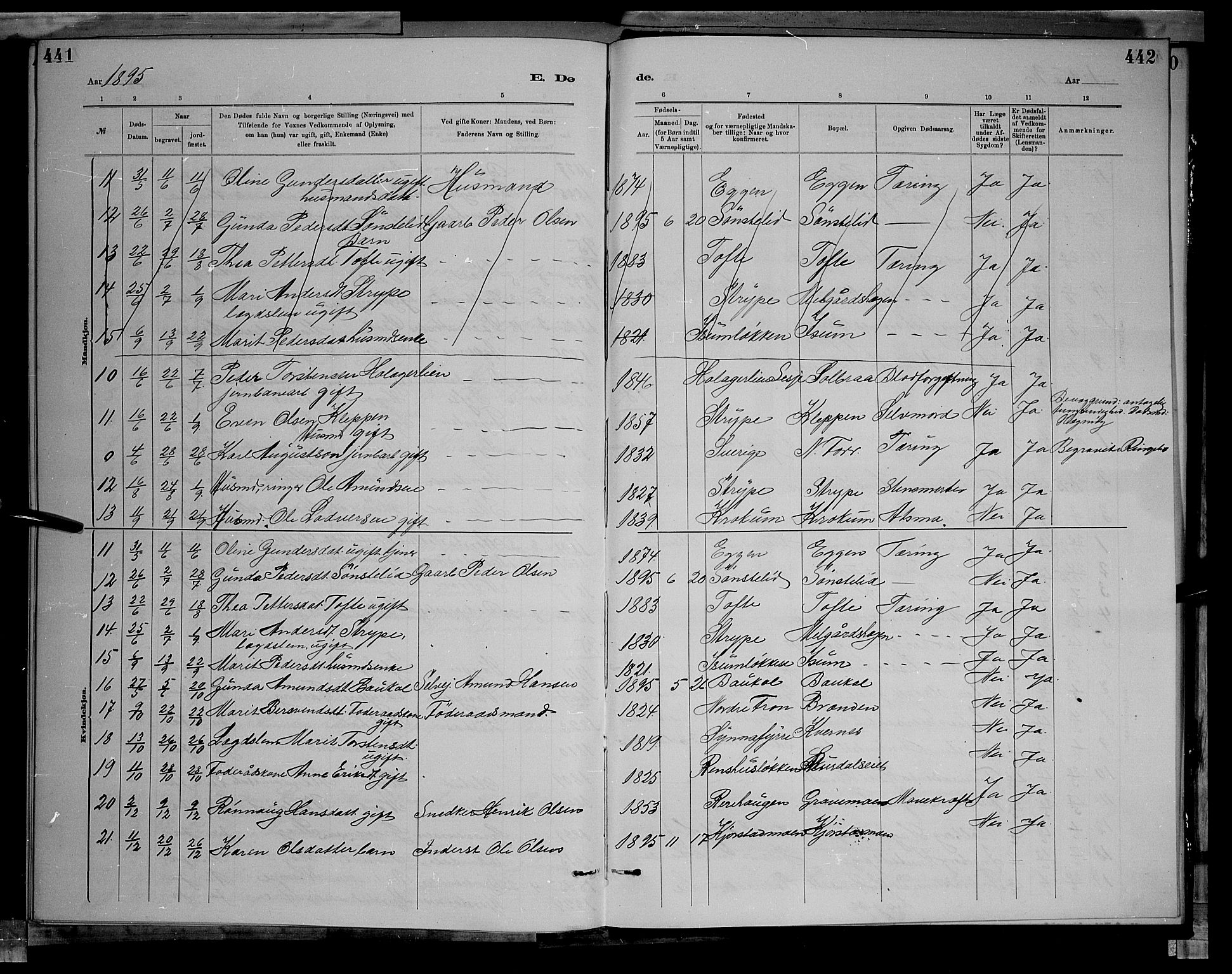 Sør-Fron prestekontor, AV/SAH-PREST-010/H/Ha/Hab/L0003: Parish register (copy) no. 3, 1884-1896, p. 441-442