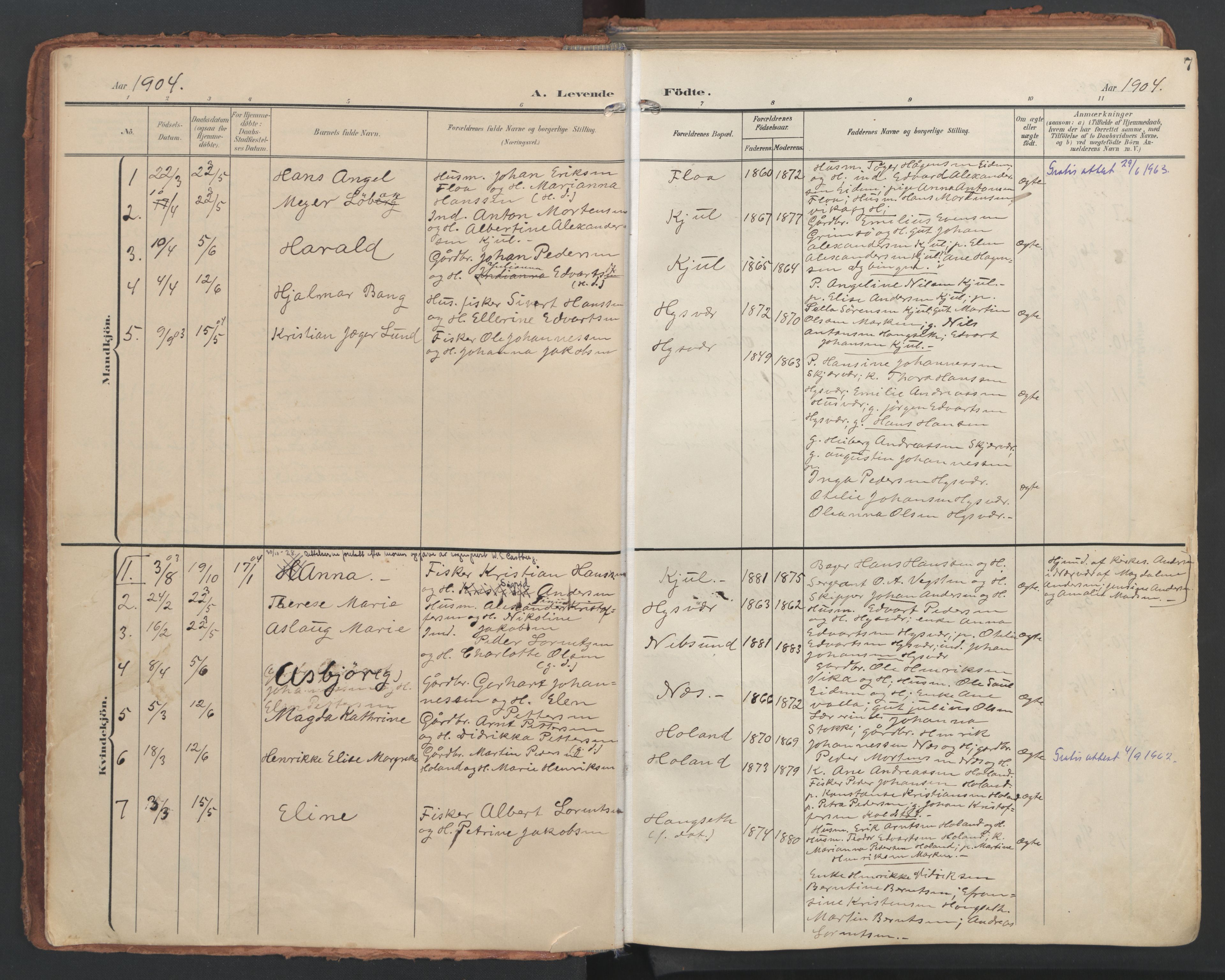 Ministerialprotokoller, klokkerbøker og fødselsregistre - Nordland, AV/SAT-A-1459/816/L0250: Parish register (official) no. 816A16, 1903-1923, p. 7