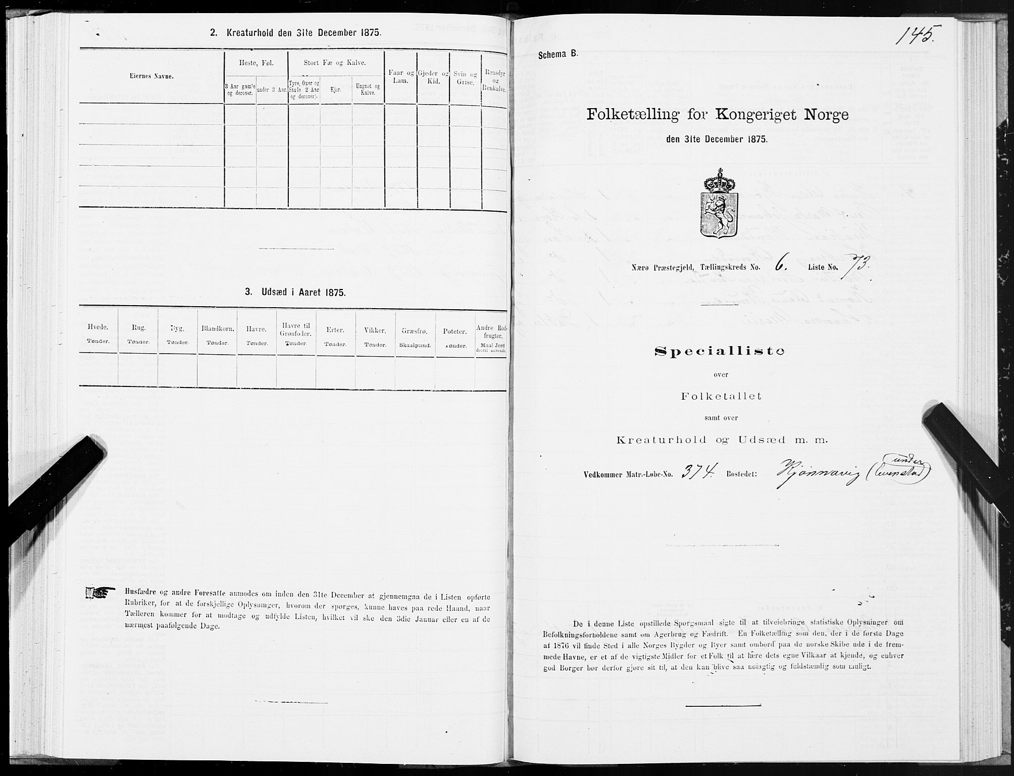 SAT, 1875 census for 1751P Nærøy, 1875, p. 3145