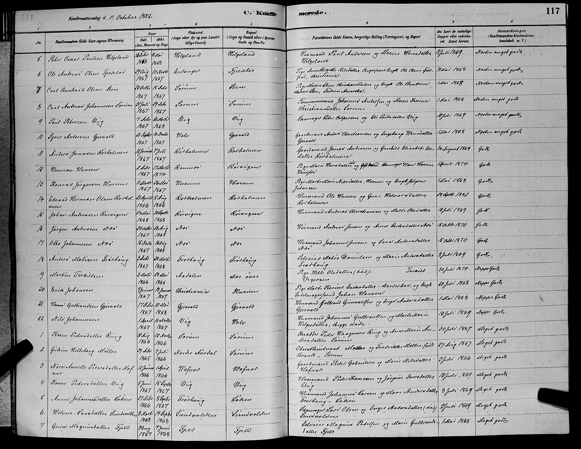 Hole kirkebøker, SAKO/A-228/G/Ga/L0003: Parish register (copy) no. I 3, 1879-1904, p. 117