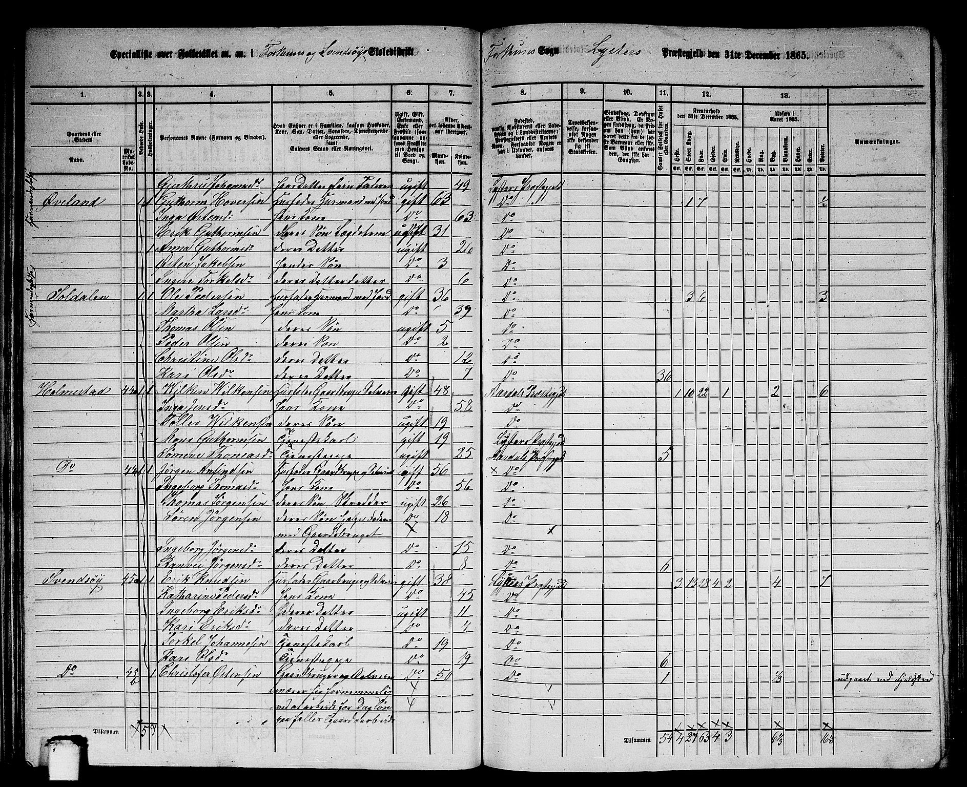 RA, 1865 census for Luster, 1865, p. 41