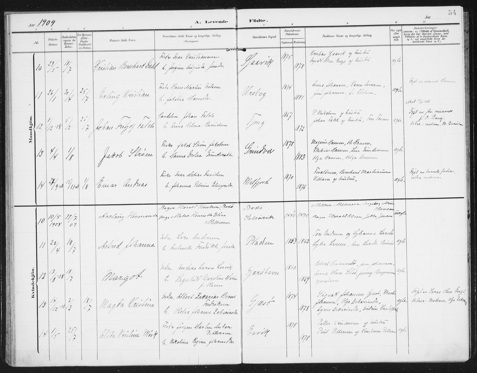 Ministerialprotokoller, klokkerbøker og fødselsregistre - Nordland, AV/SAT-A-1459/841/L0612: Parish register (official) no. 841A15, 1902-1910, p. 54