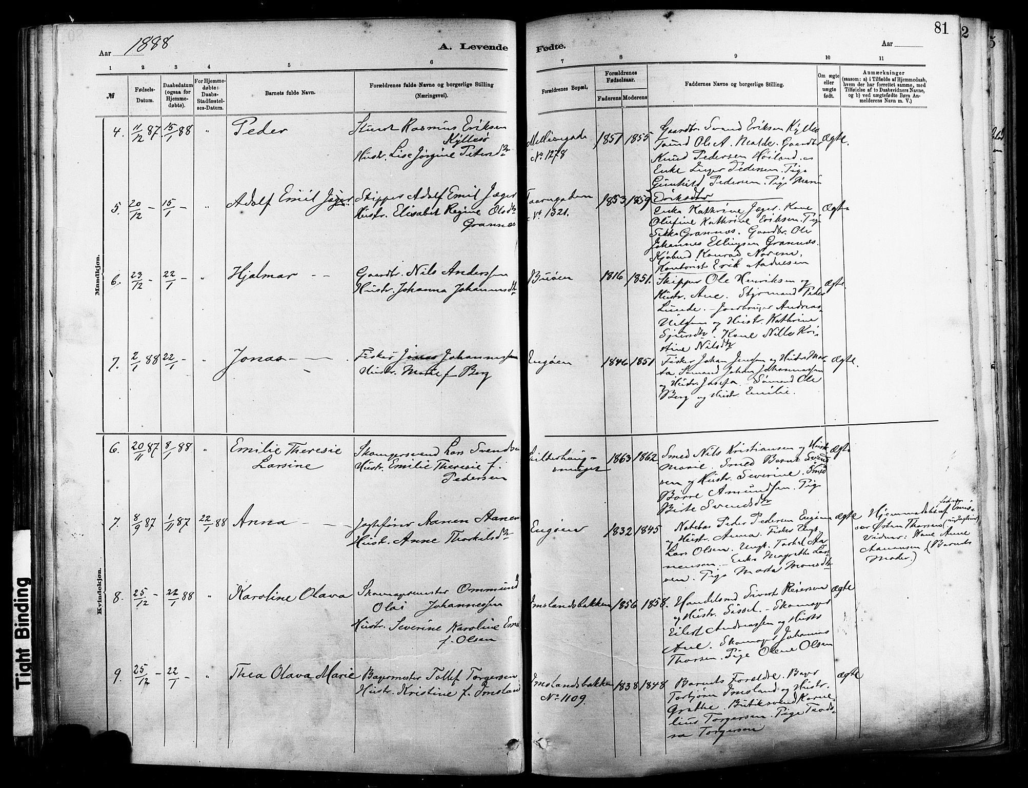 St. Johannes sokneprestkontor, AV/SAST-A-101814/001/30/30BA/L0001: Parish register (official) no. A 1, 1885-1891, p. 81