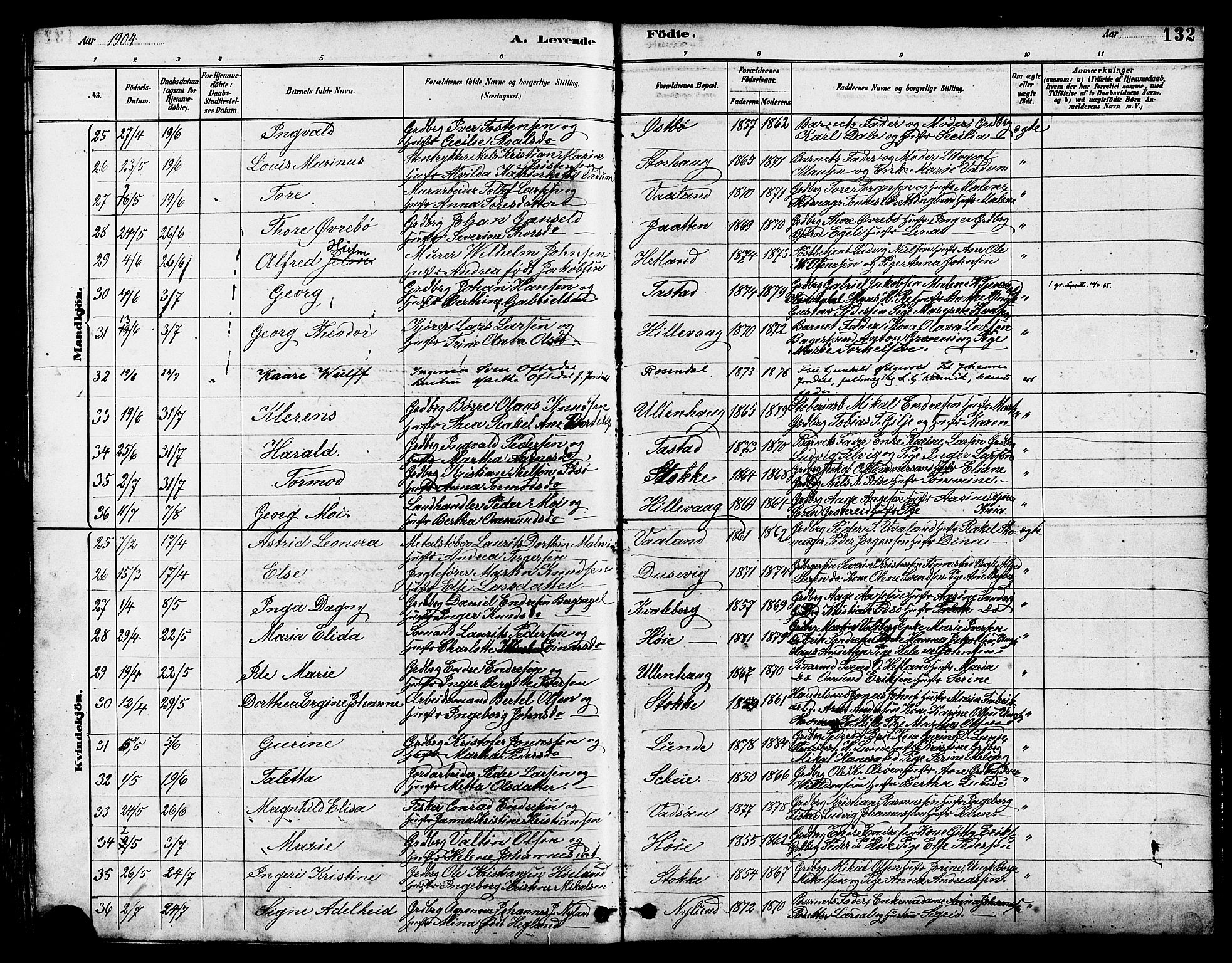 Hetland sokneprestkontor, SAST/A-101826/30/30BB/L0005: Parish register (copy) no. B 5, 1878-1910, p. 132