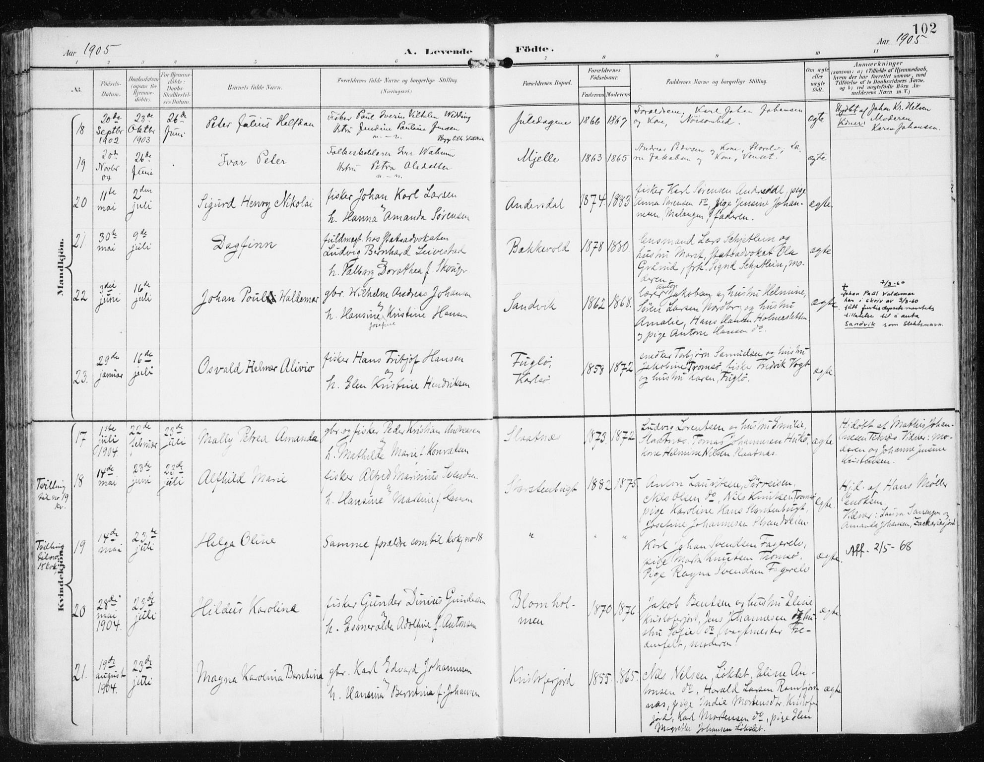 Tromsøysund sokneprestkontor, AV/SATØ-S-1304/G/Ga/L0006kirke: Parish register (official) no. 6, 1897-1906, p. 102