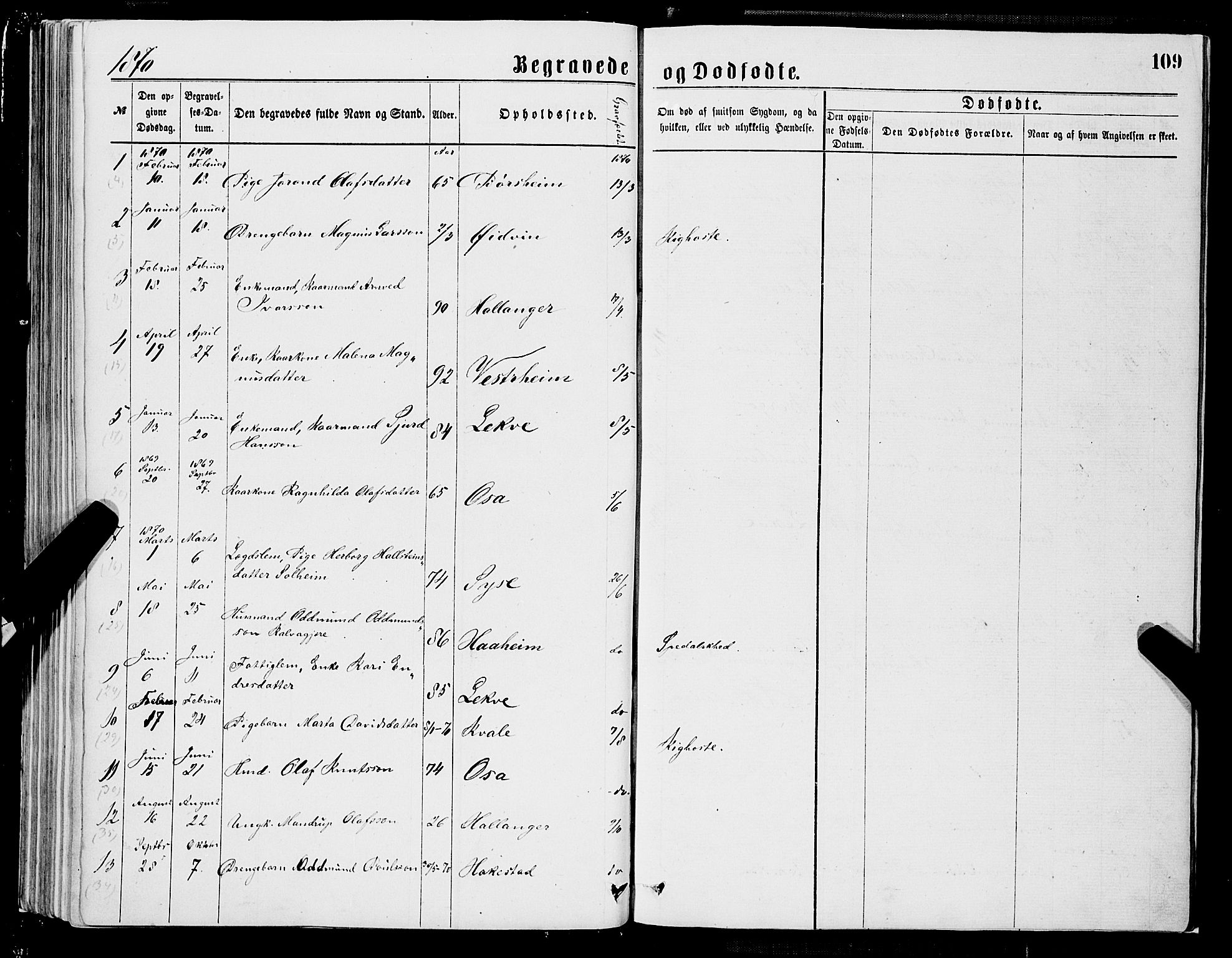 Ulvik sokneprestembete, SAB/A-78801/H/Hab: Parish register (copy) no. A 2, 1869-1882, p. 109