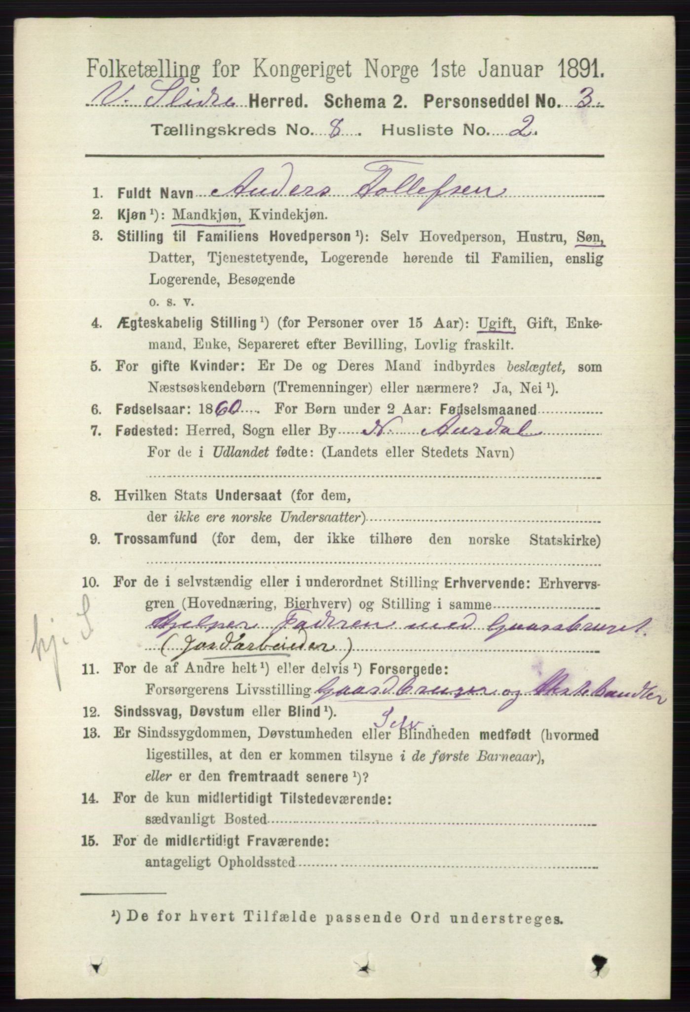 RA, 1891 census for 0543 Vestre Slidre, 1891, p. 2994