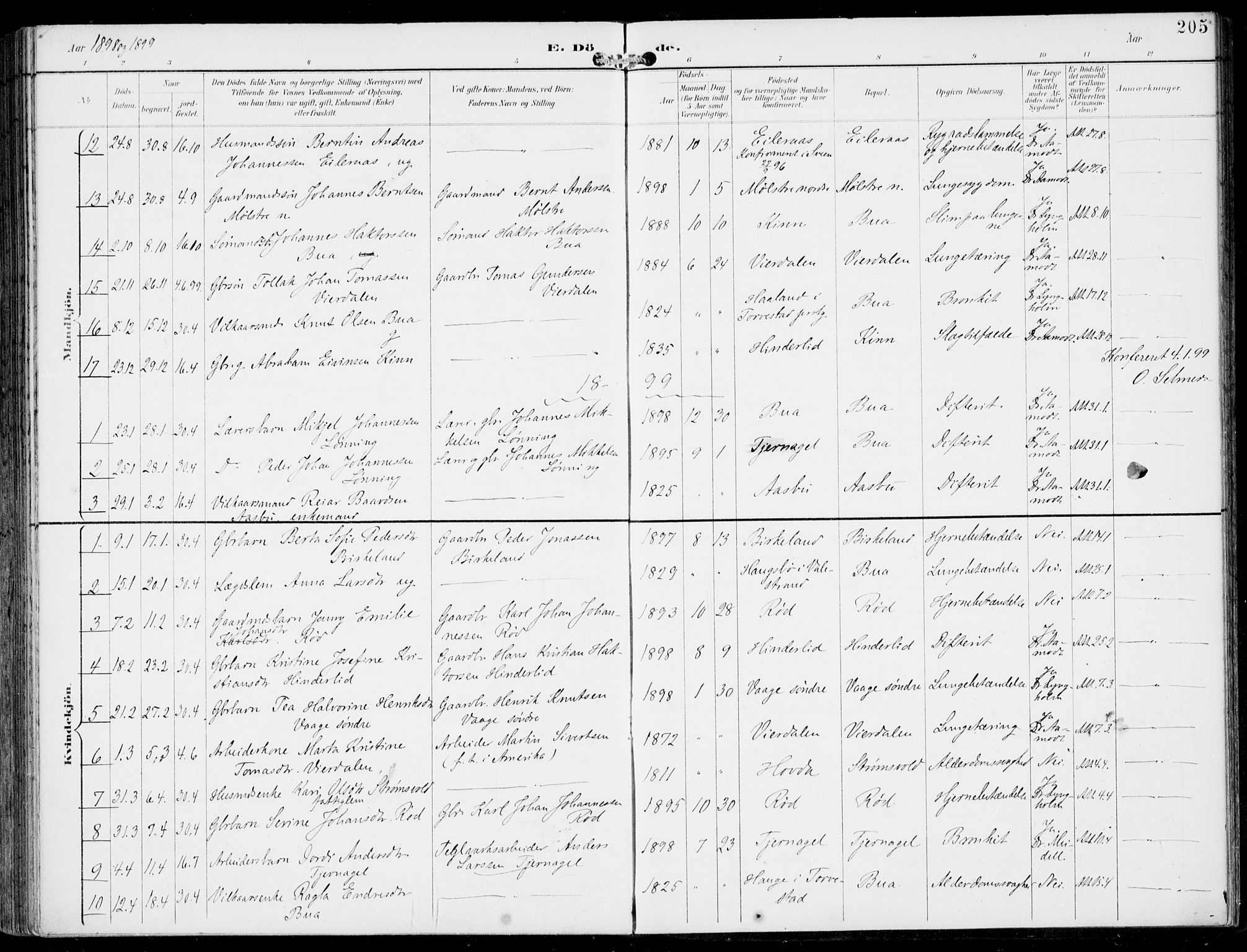 Sveio Sokneprestembete, AV/SAB-A-78501/H/Haa: Parish register (official) no. B  3, 1894-1906, p. 205