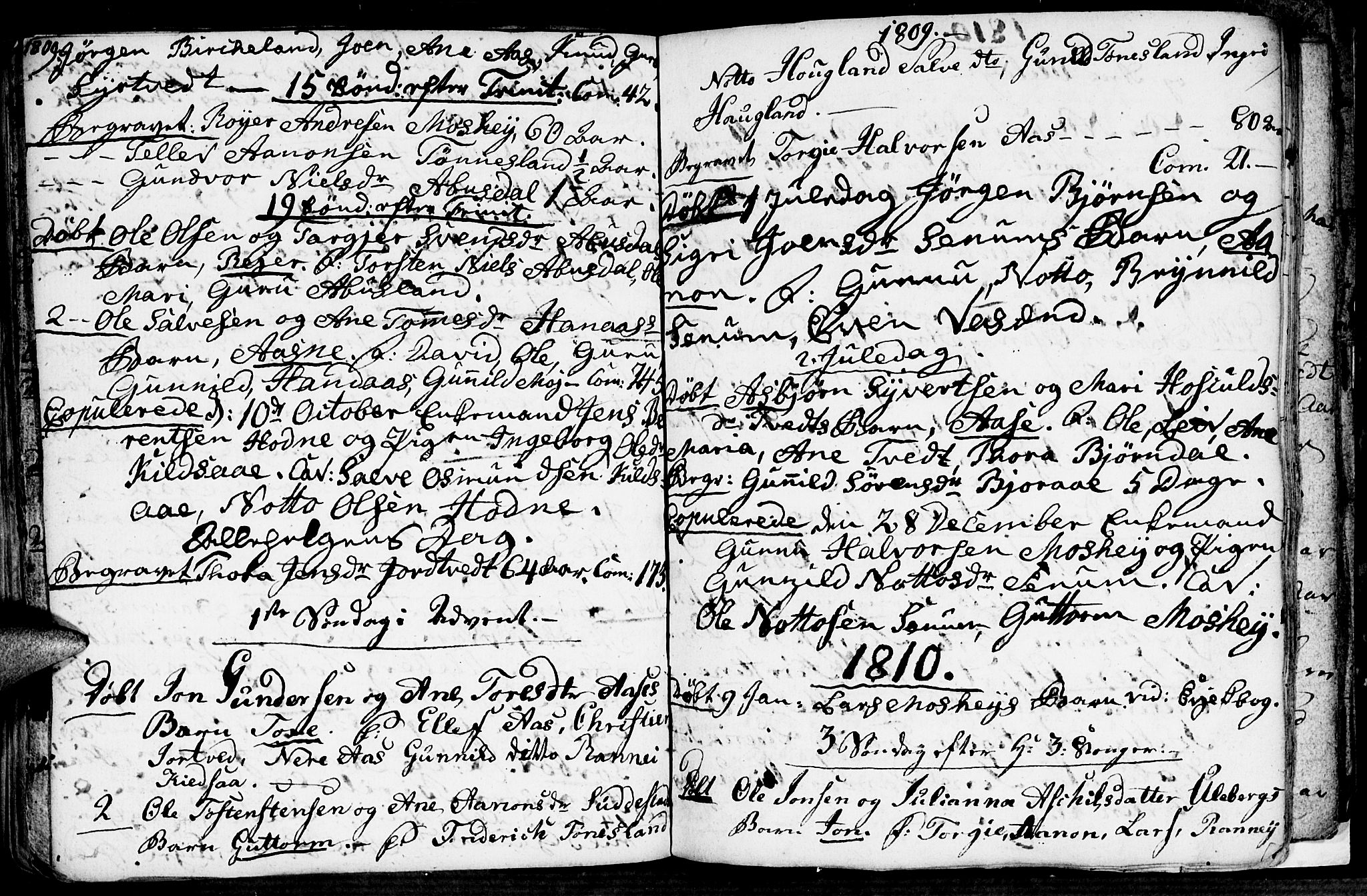 Evje sokneprestkontor, SAK/1111-0008/F/Fa/Fab/L0002: Parish register (official) no. A 2, 1765-1816, p. 116