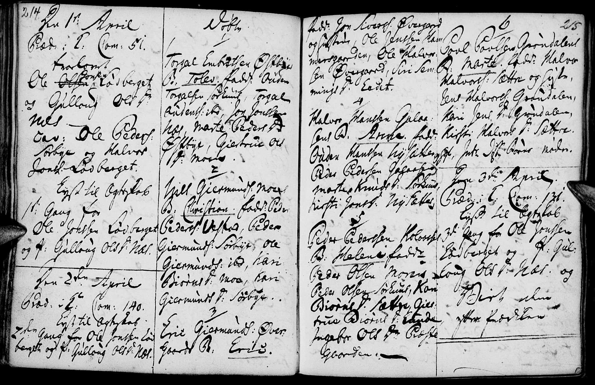 Elverum prestekontor, AV/SAH-PREST-044/H/Ha/Haa/L0004: Parish register (official) no. 4, 1761-1780, p. 214-215