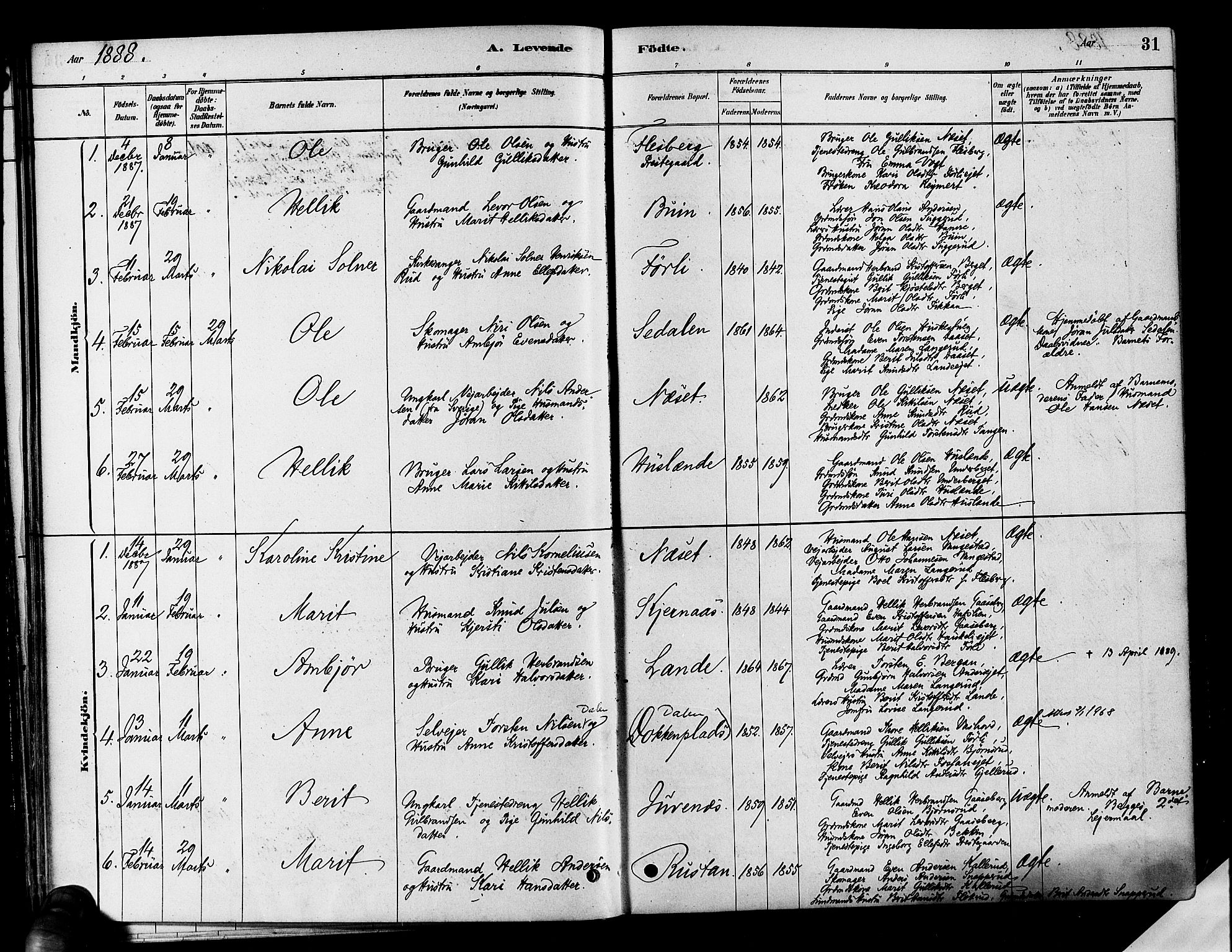 Flesberg kirkebøker, SAKO/A-18/F/Fa/L0008: Parish register (official) no. I 8, 1879-1899, p. 31