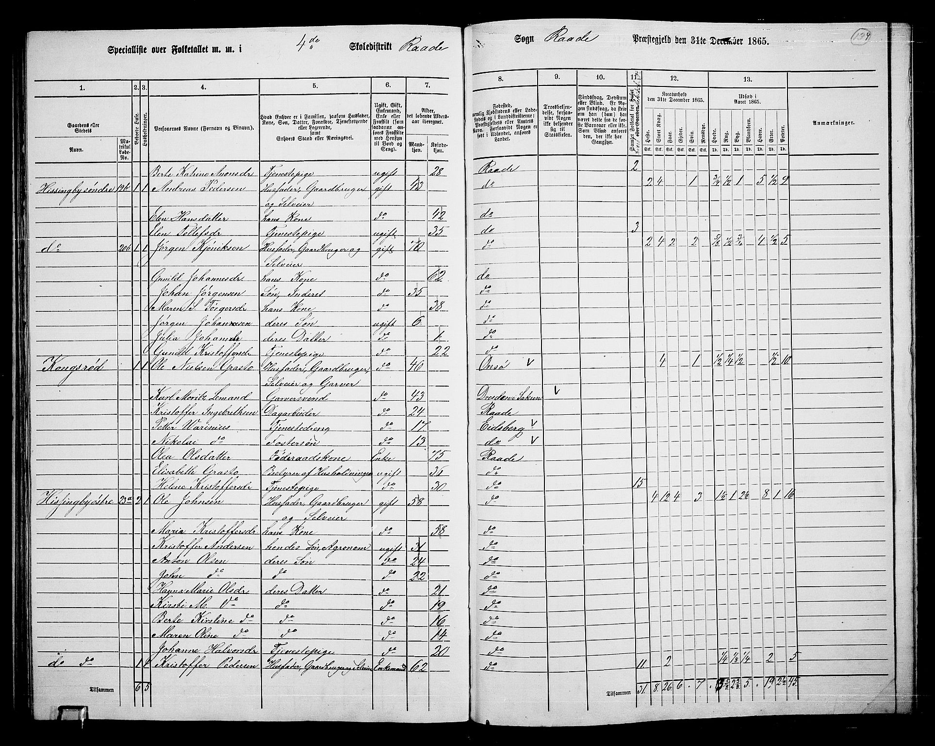 RA, 1865 census for Råde, 1865, p. 126