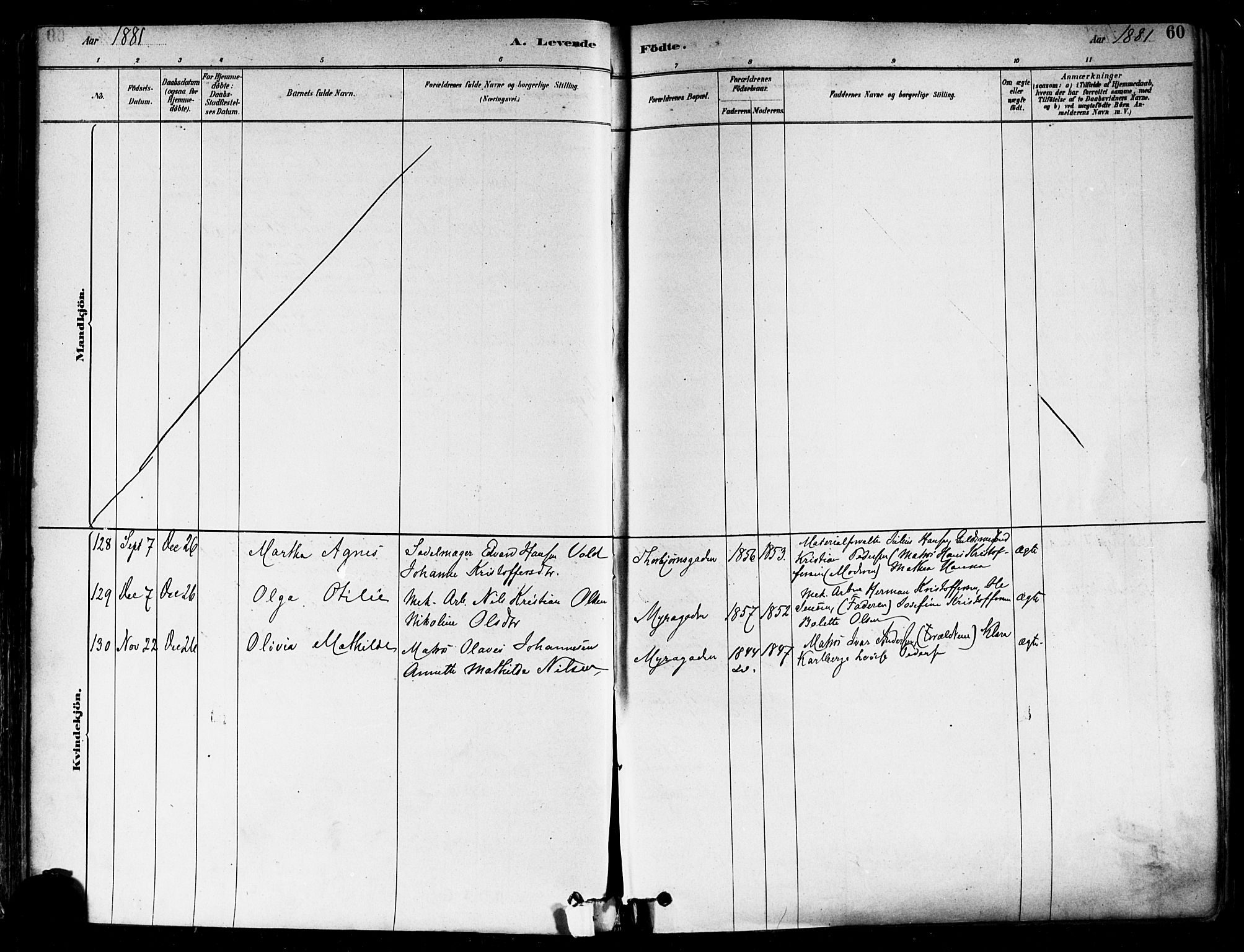 Fredrikstad domkirkes prestekontor Kirkebøker, AV/SAO-A-10906/F/Fa/L0002: Parish register (official) no. 2, 1878-1894, p. 60