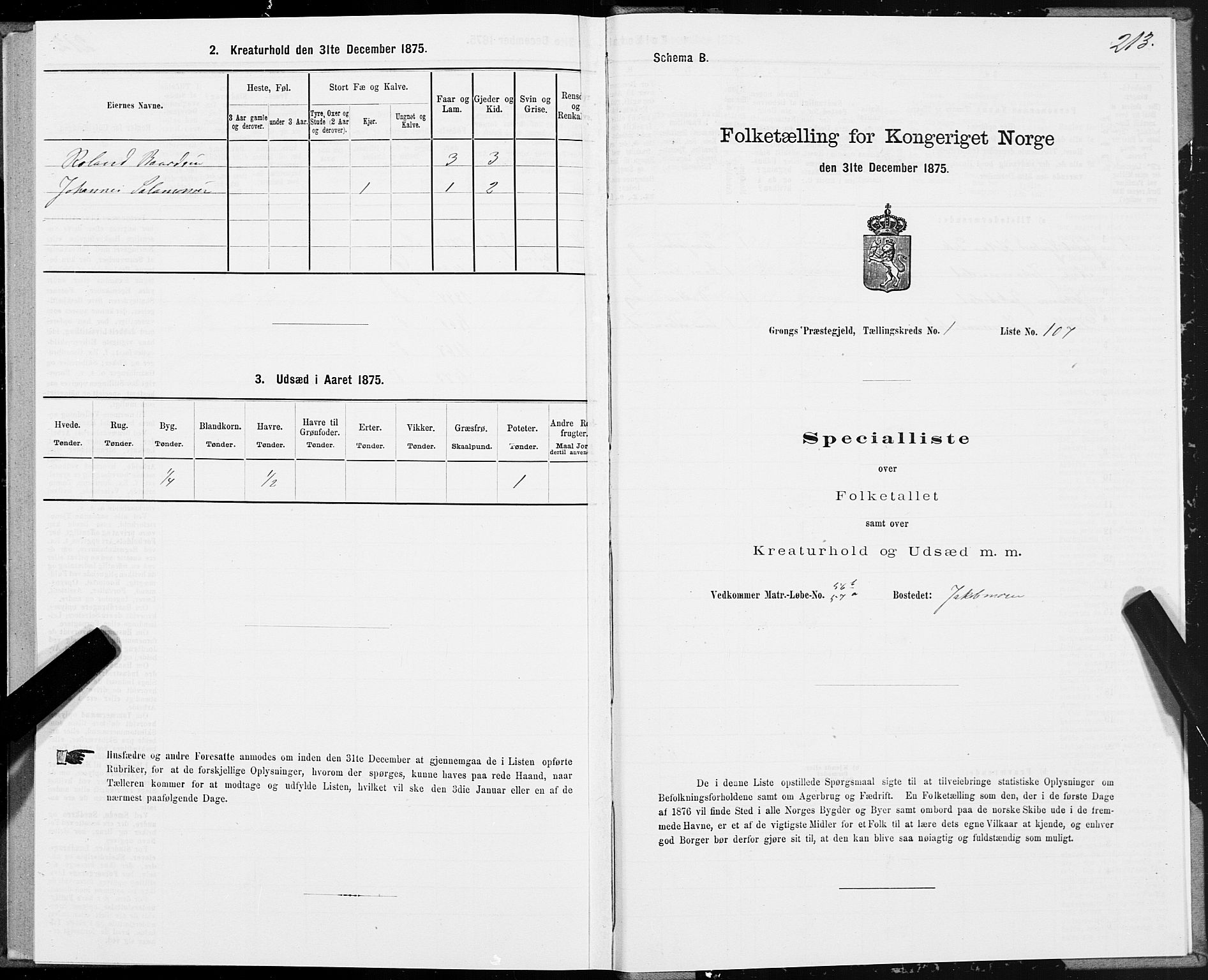 SAT, 1875 census for 1742P Grong, 1875, p. 1213