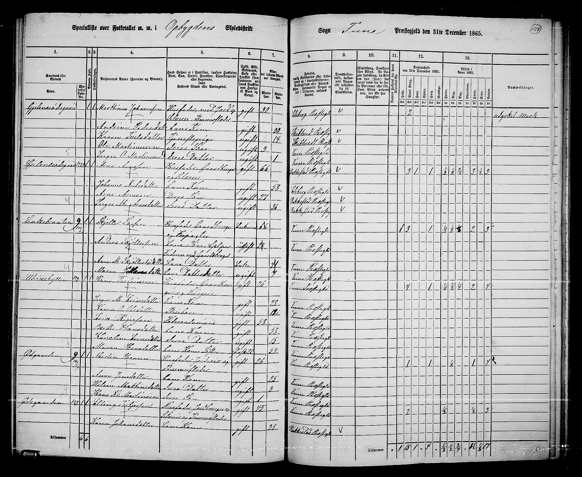 RA, 1865 census for Tune, 1865, p. 210