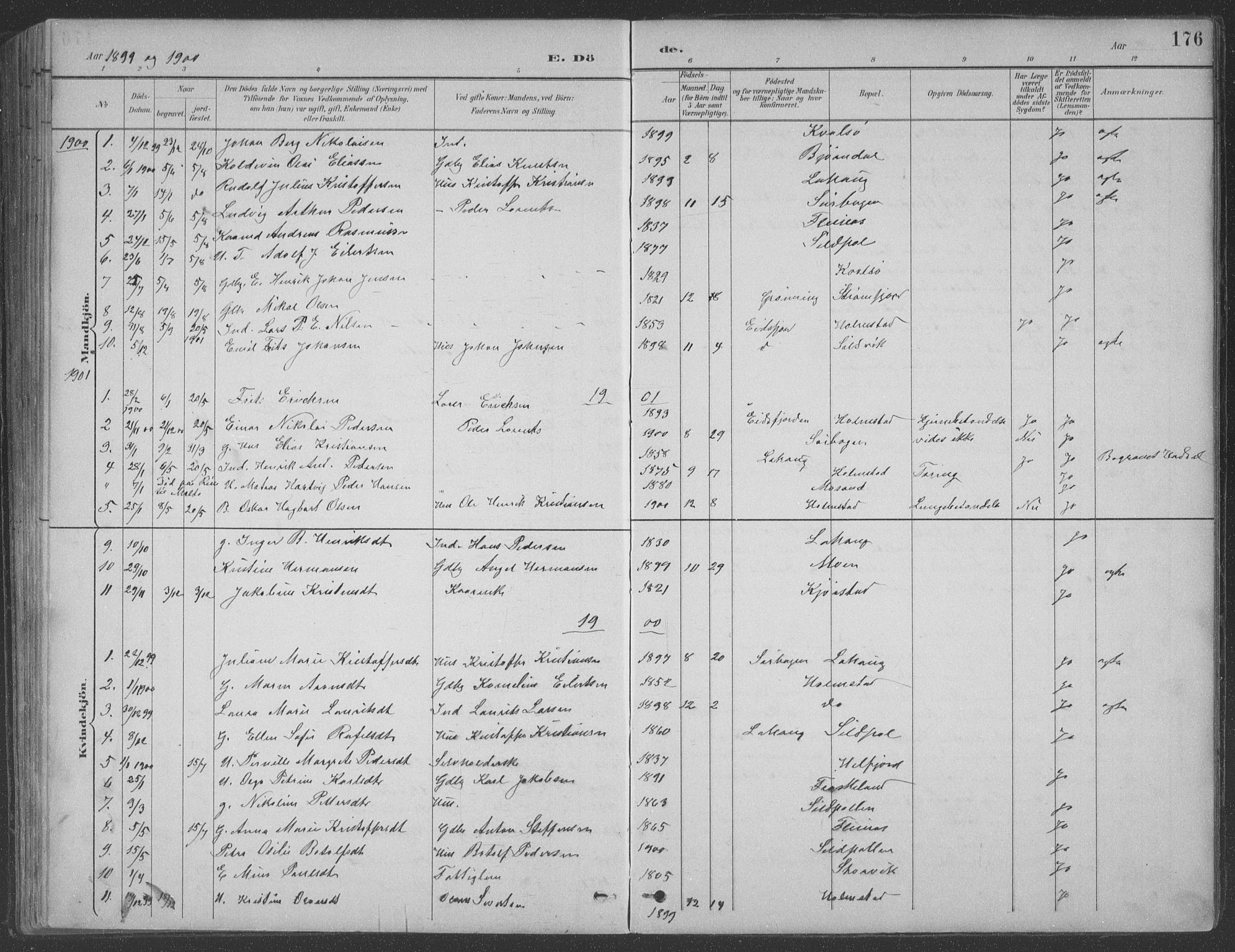 Ministerialprotokoller, klokkerbøker og fødselsregistre - Nordland, AV/SAT-A-1459/890/L1290: Parish register (copy) no. 890C01, 1882-1911, p. 176