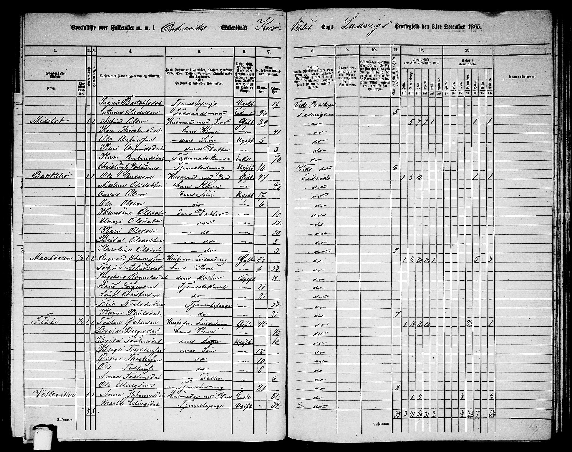 RA, 1865 census for Lavik, 1865, p. 137