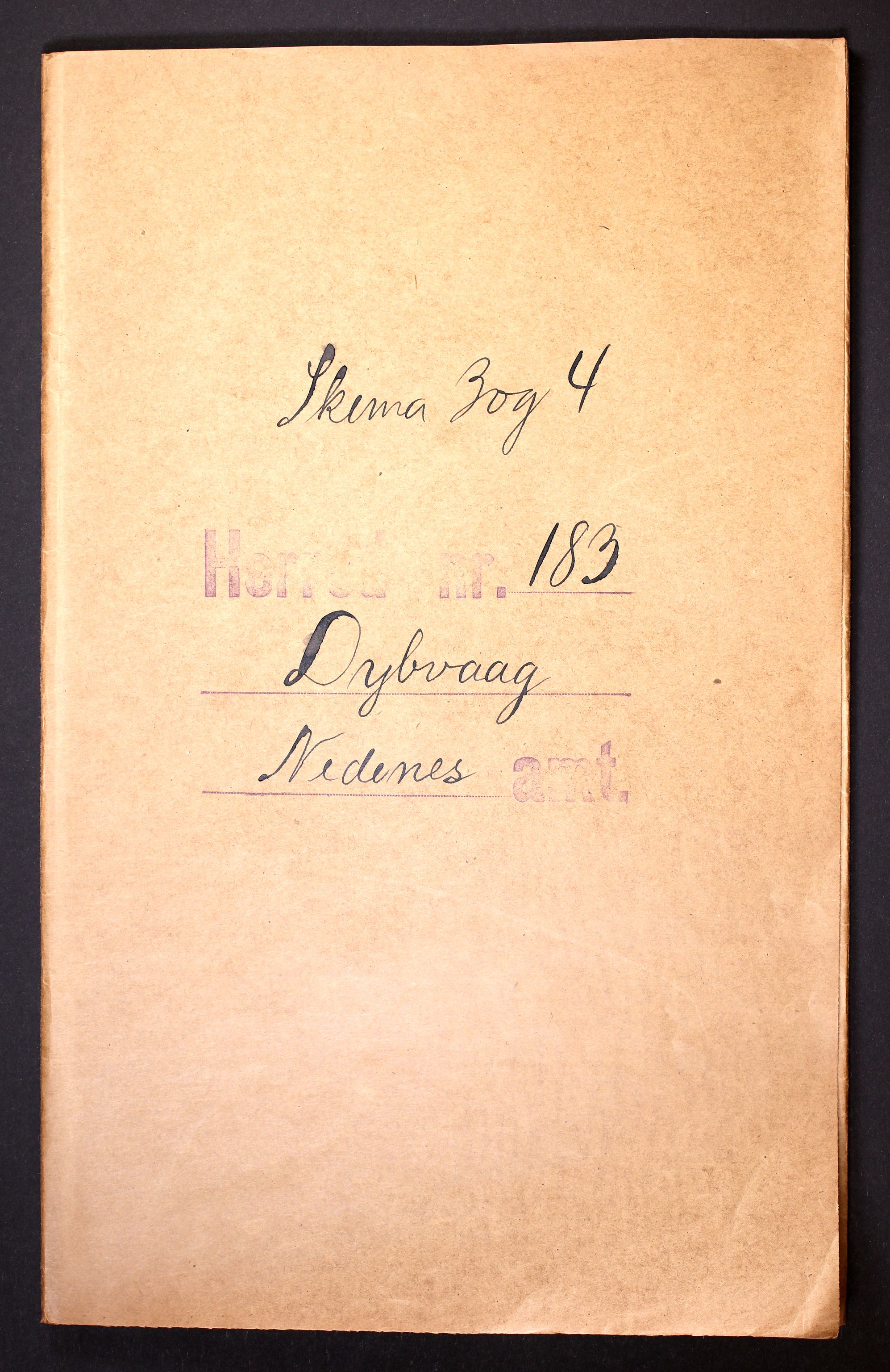 RA, 1910 census for Dypvåg, 1910, p. 1