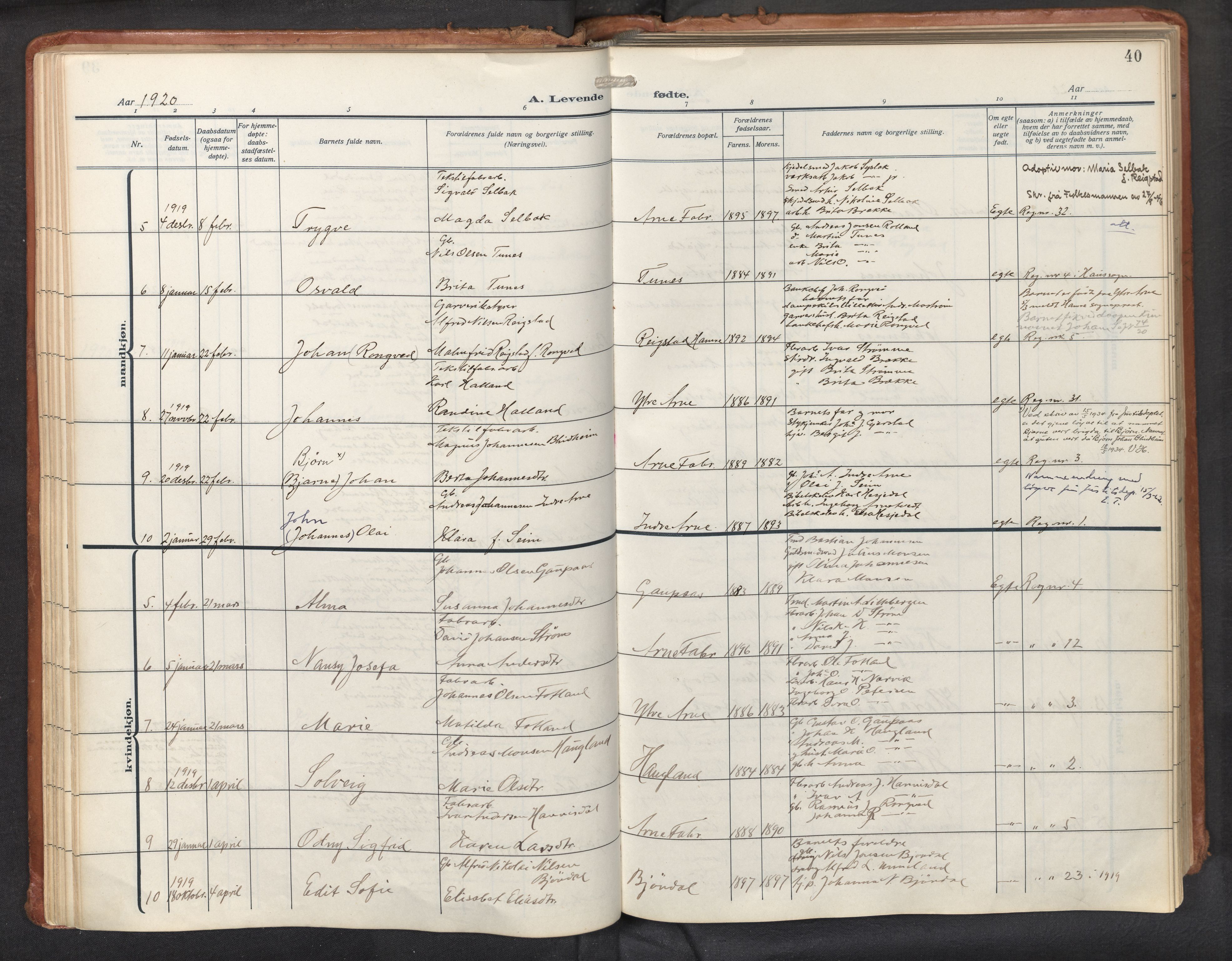 Haus sokneprestembete, AV/SAB-A-75601/H/Haa: Parish register (official) no. D 3, 1912-1927, p. 40