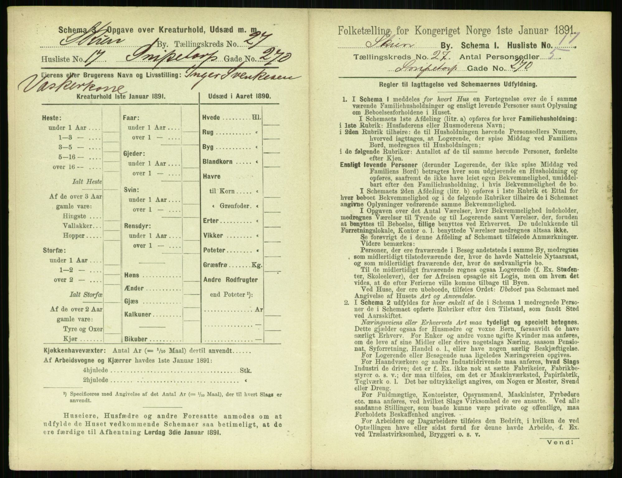 RA, 1891 census for 0806 Skien, 1891, p. 1032