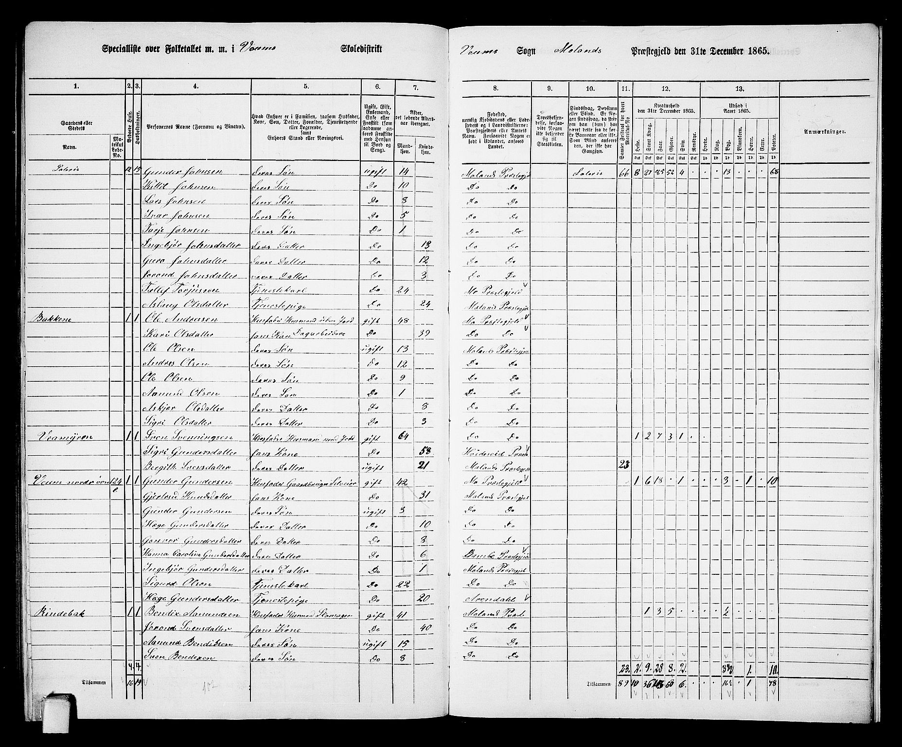 RA, 1865 census for Moland, 1865, p. 91