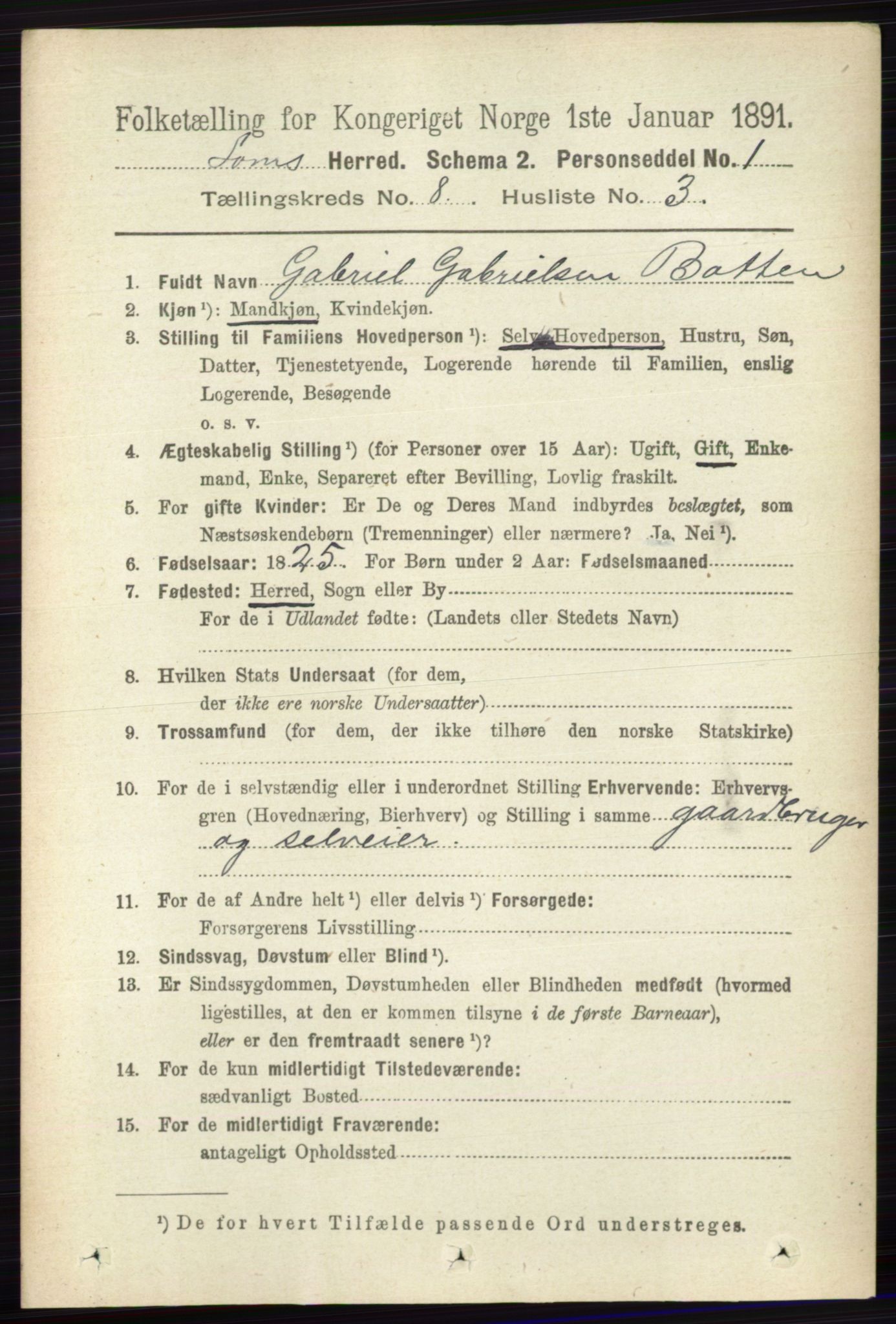 RA, 1891 census for 0514 Lom, 1891, p. 3117