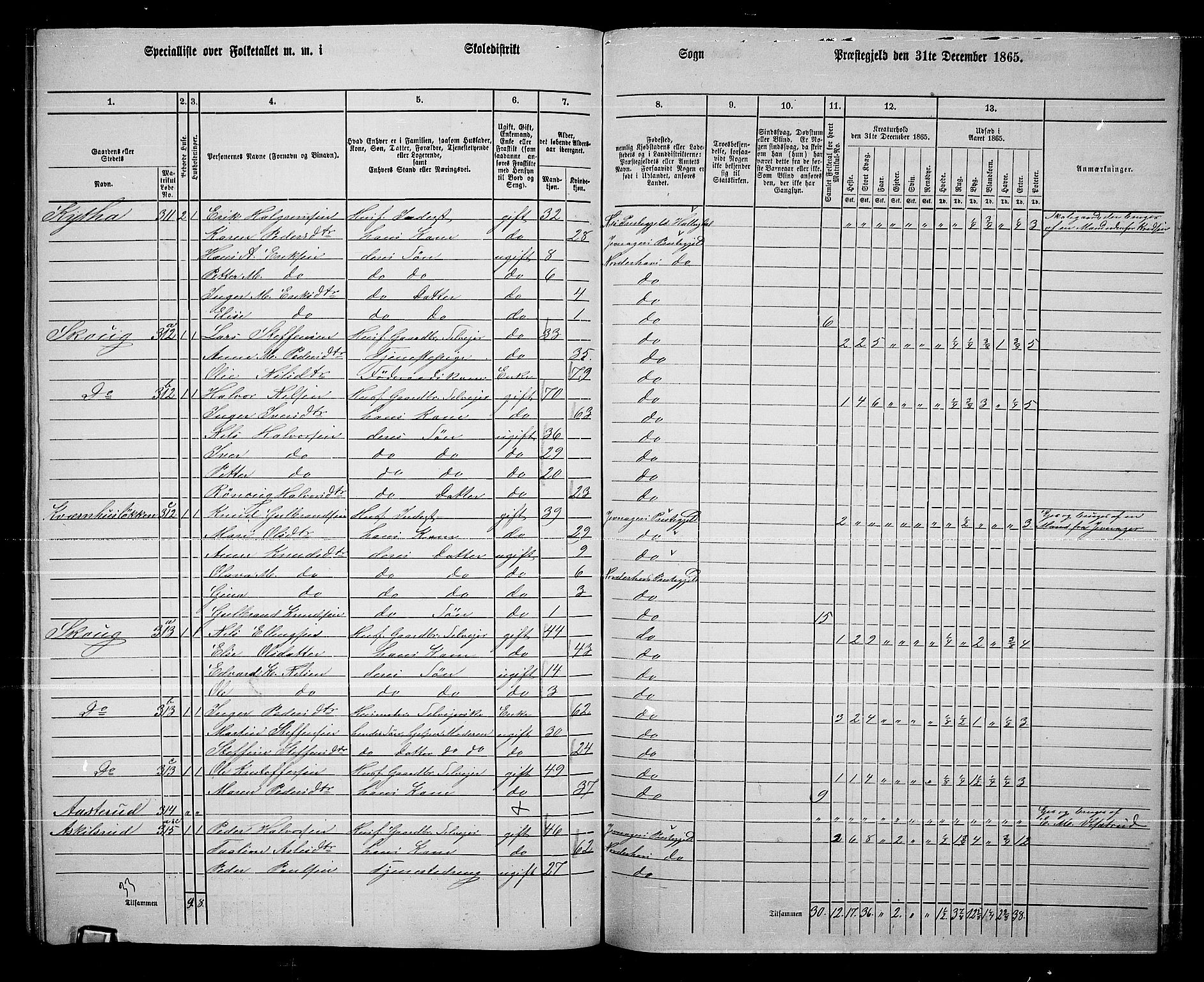 RA, 1865 census for Norderhov/Norderhov, Haug og Lunder, 1865, p. 262