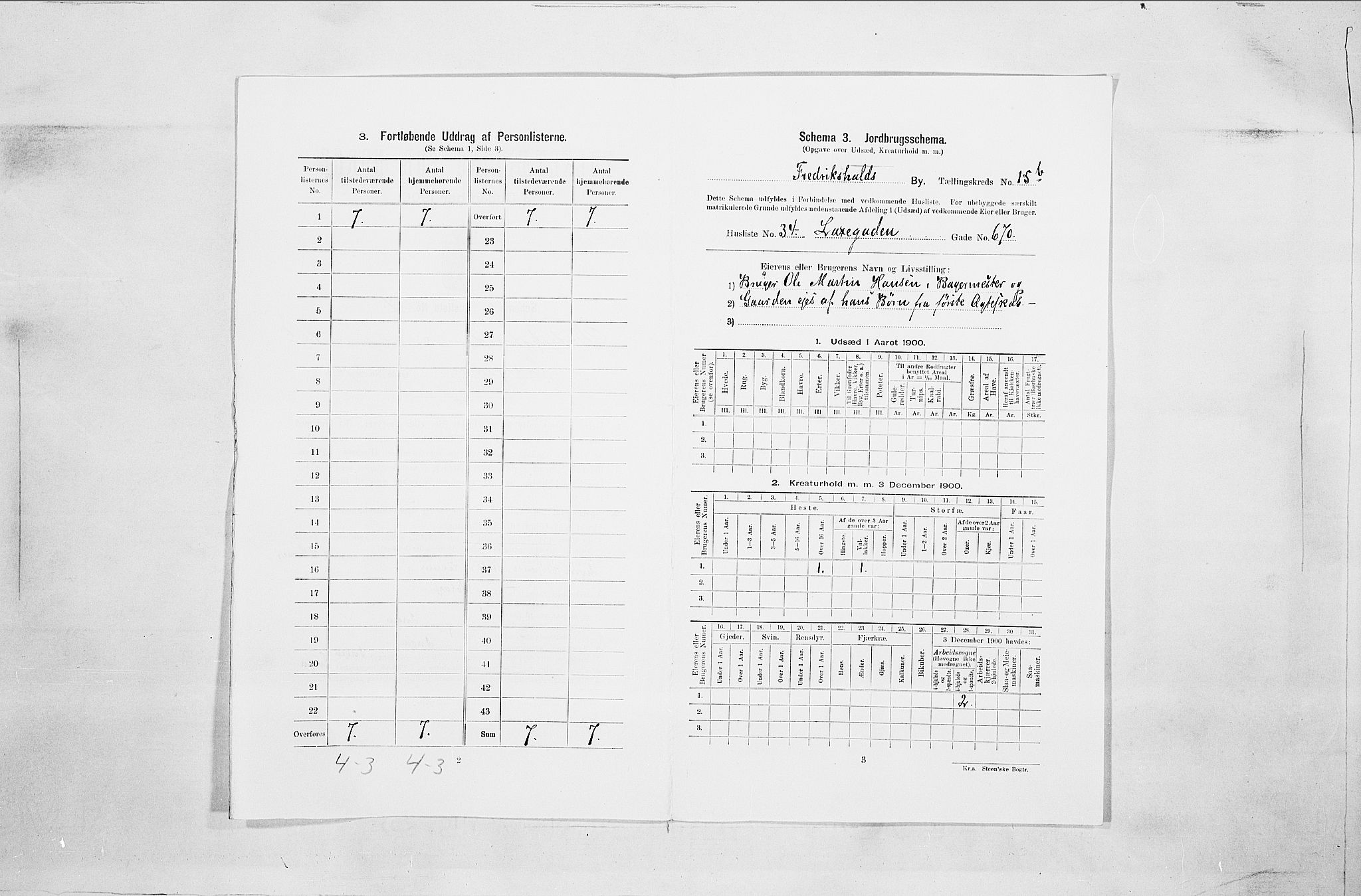 SAO, 1900 census for Fredrikshald, 1900