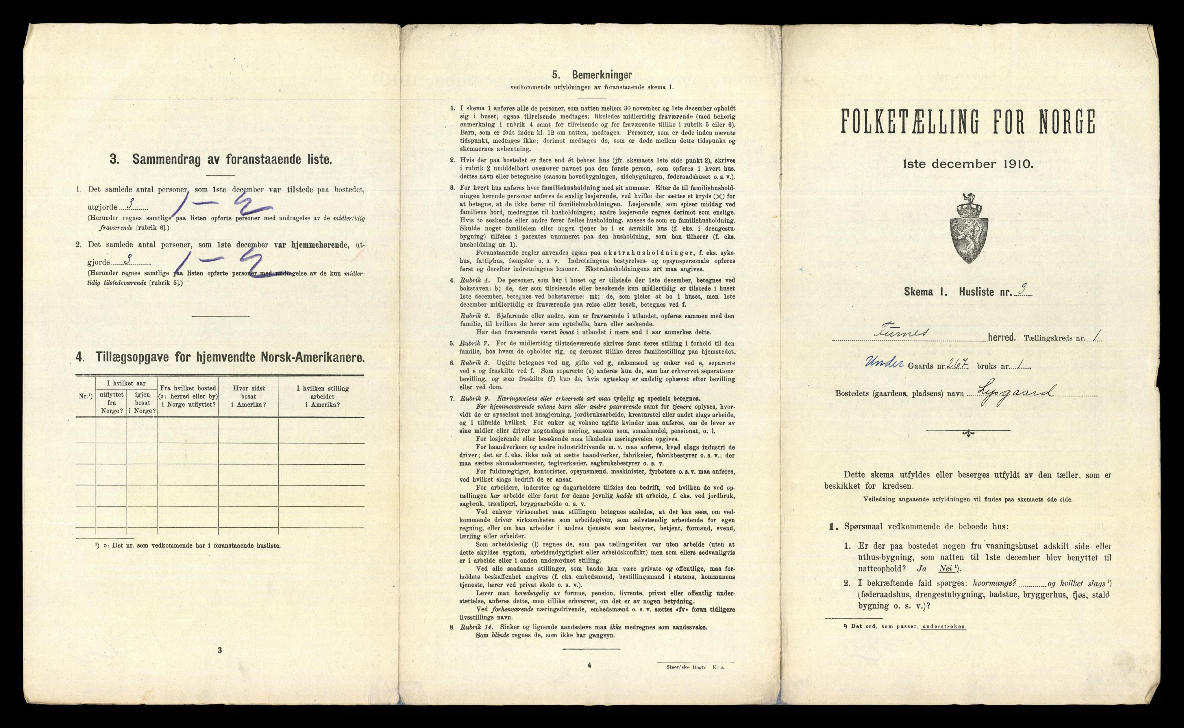 RA, 1910 census for Furnes, 1910, p. 44