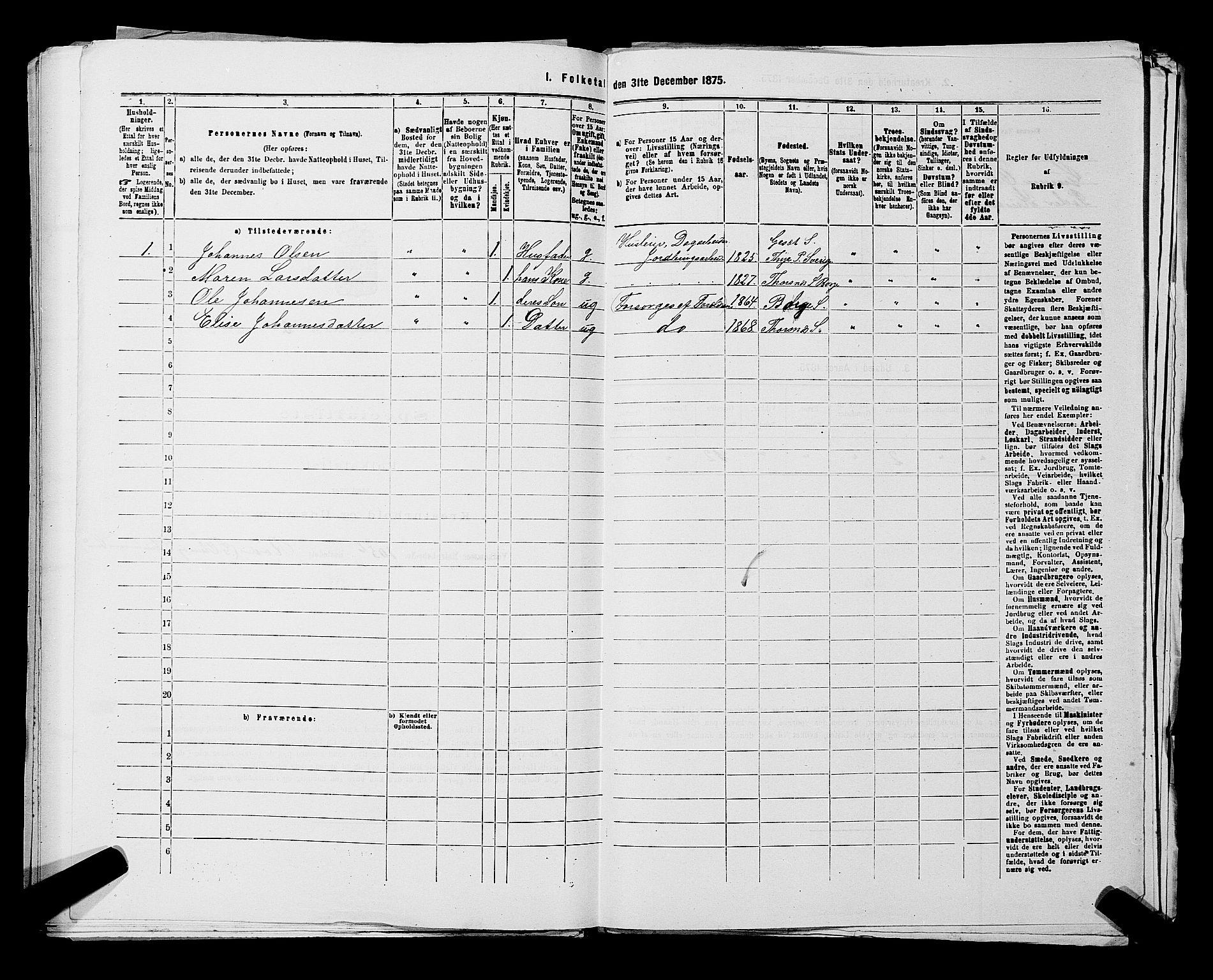 RA, 1875 census for 0113P Borge, 1875, p. 1174