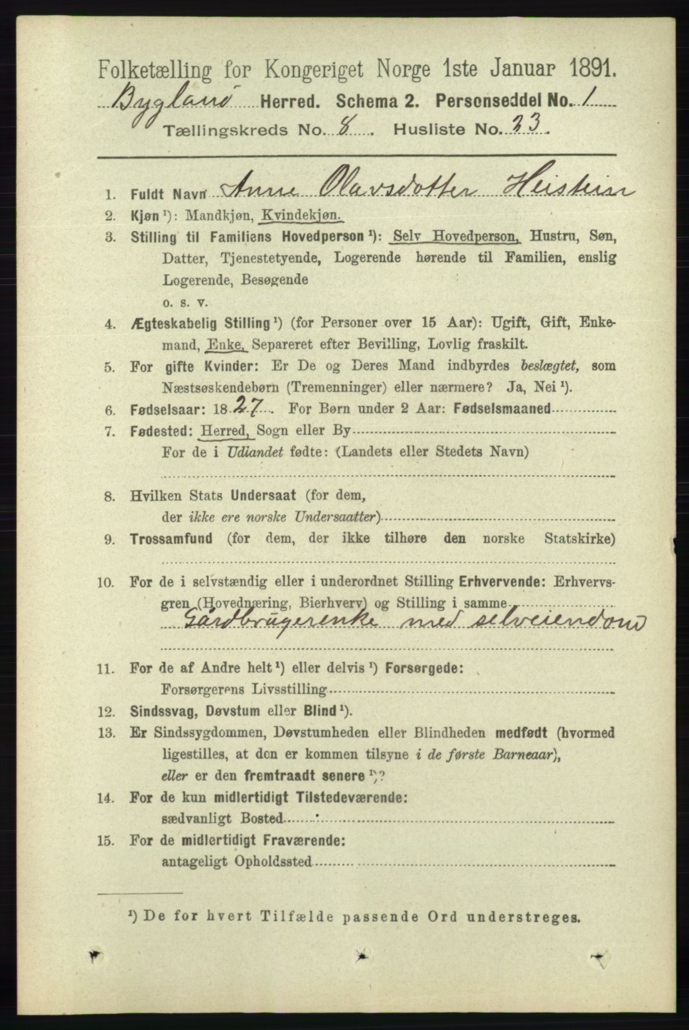 RA, 1891 census for 0938 Bygland, 1891, p. 2062