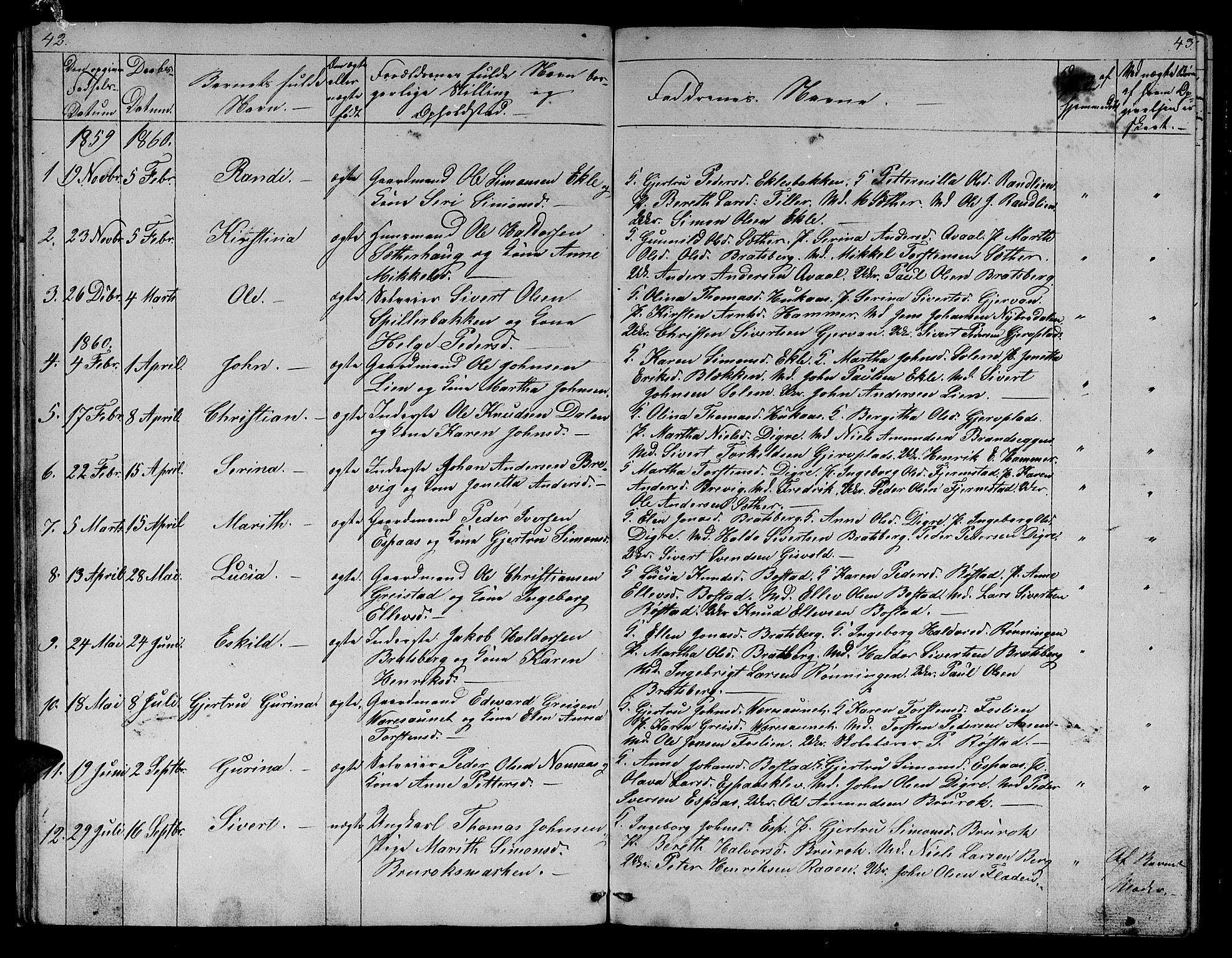 Ministerialprotokoller, klokkerbøker og fødselsregistre - Sør-Trøndelag, AV/SAT-A-1456/608/L0339: Parish register (copy) no. 608C05, 1844-1863, p. 42-43