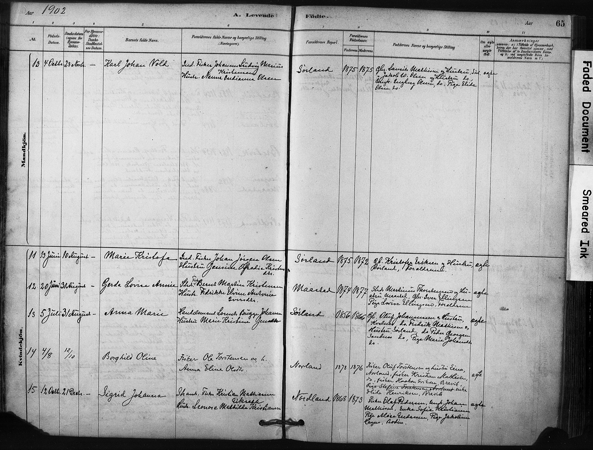 Ministerialprotokoller, klokkerbøker og fødselsregistre - Nordland, AV/SAT-A-1459/807/L0122: Parish register (official) no. 807A05, 1880-1902, p. 65