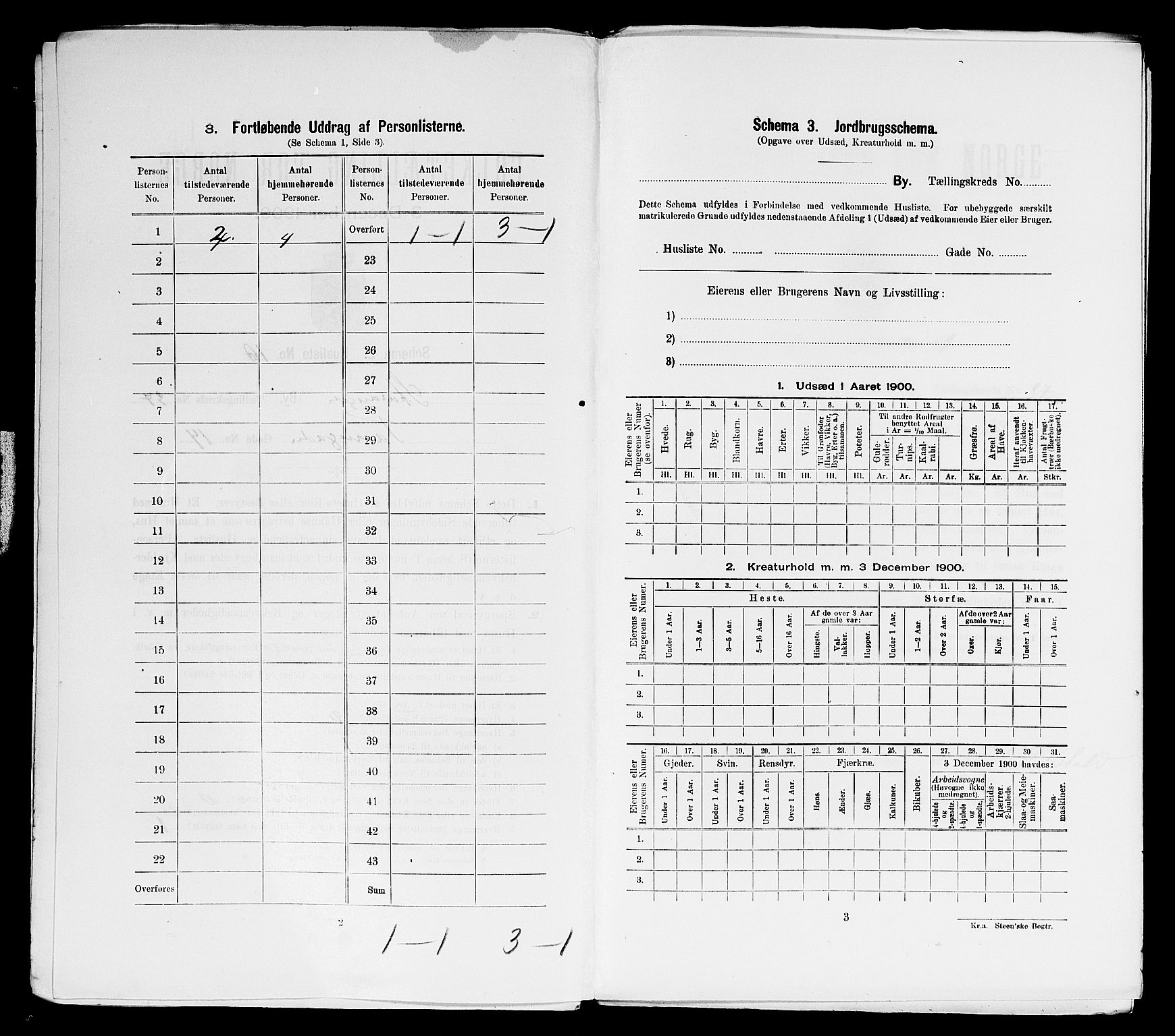 SAST, 1900 census for Stavanger, 1900, p. 13104