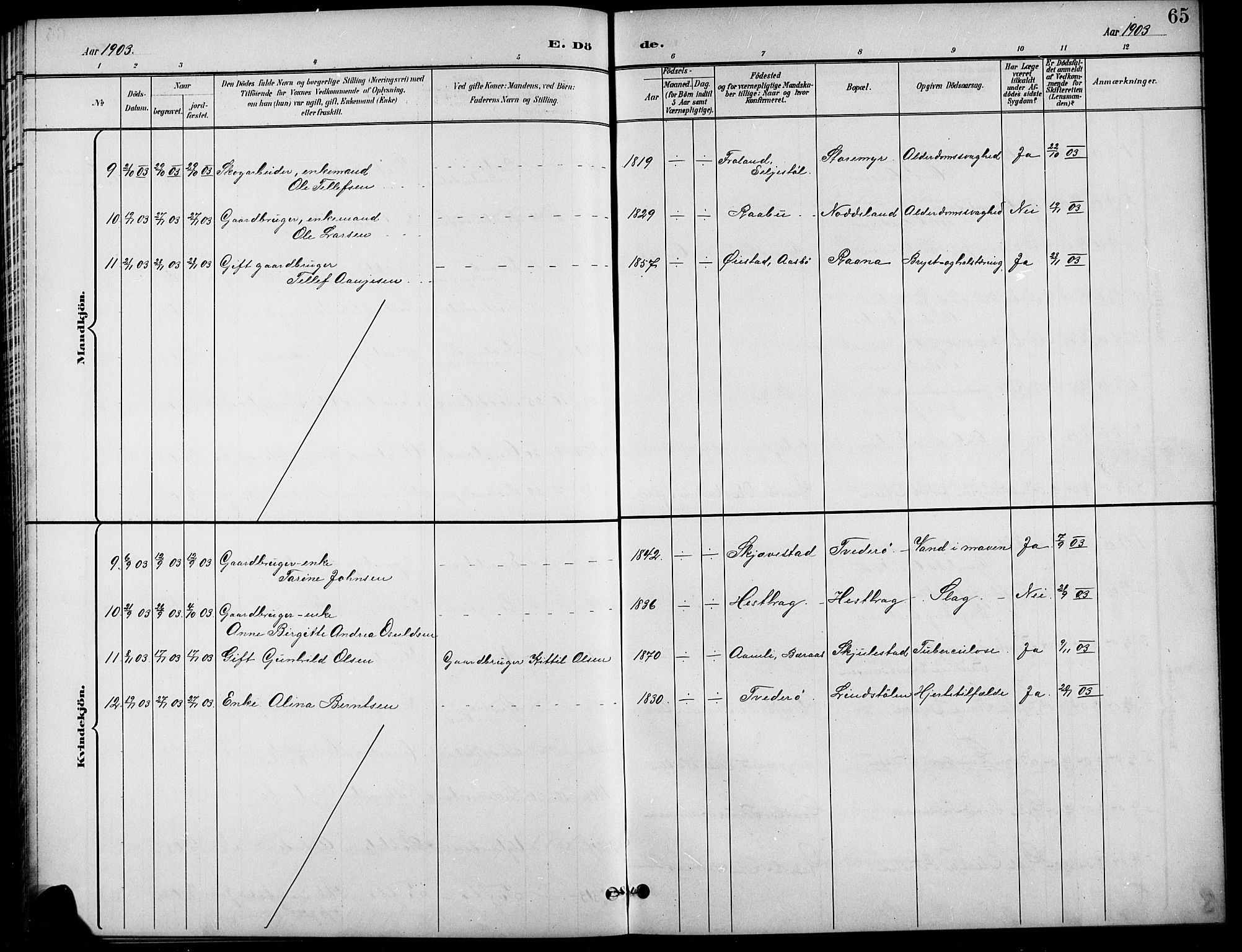 Austre Moland sokneprestkontor, AV/SAK-1111-0001/F/Fb/Fba/L0004: Parish register (copy) no. B 4a, 1897-1913, p. 65