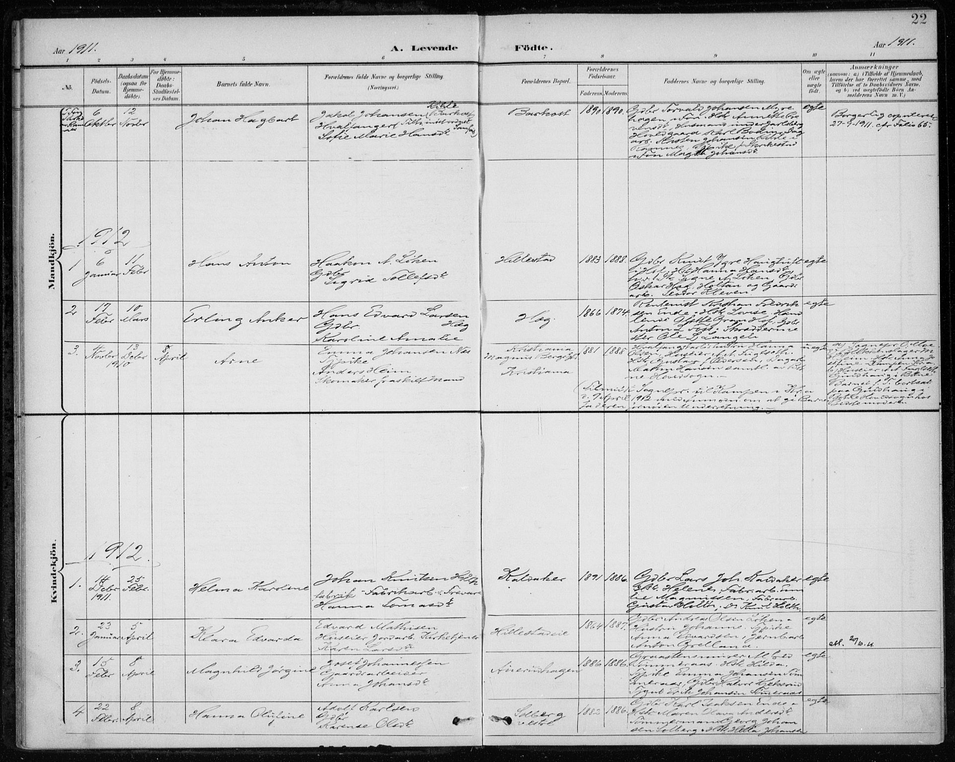 Botne kirkebøker, SAKO/A-340/F/Fb/L0002: Parish register (official) no. II 2, 1902-1915, p. 22